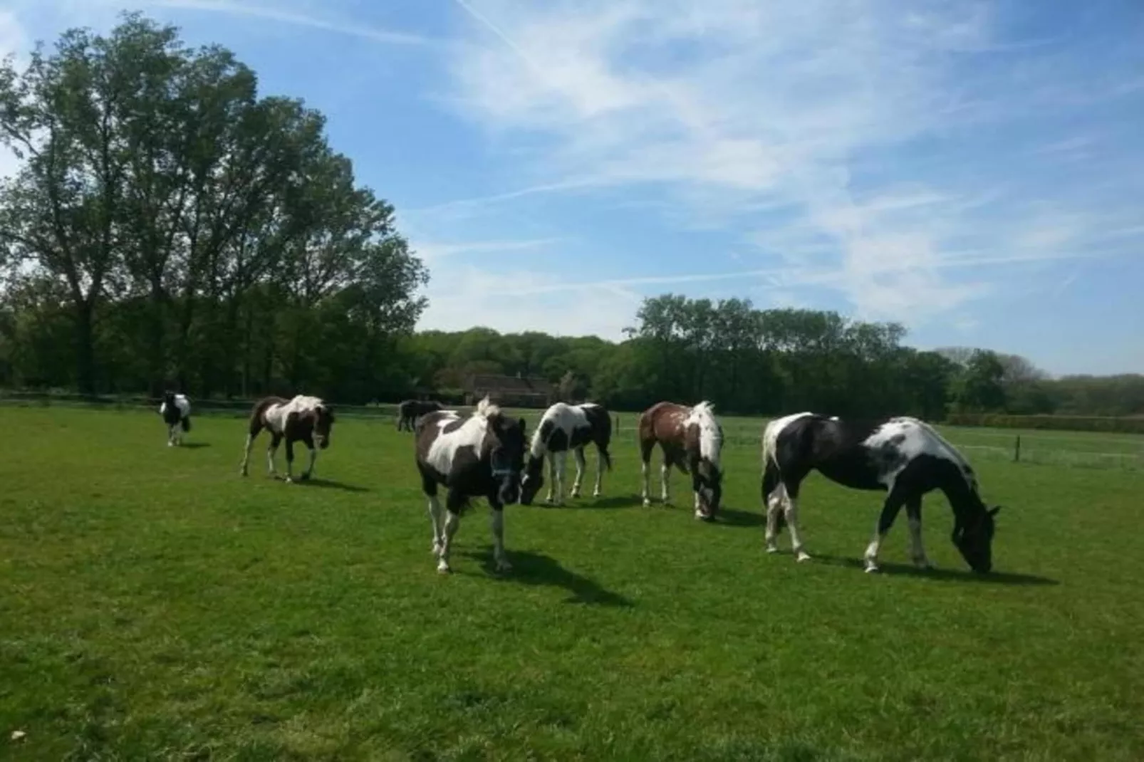 Recreatiepark Duinhoeve 4-Gebieden zomer 20km