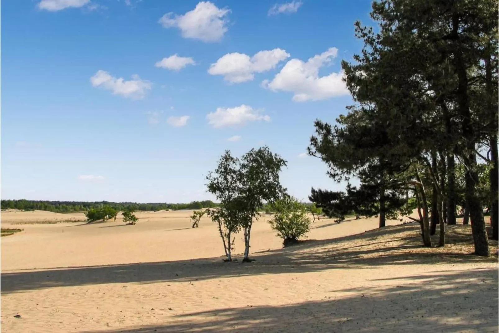 Recreatiepark Duinhoeve 6-Gebieden zomer 20km