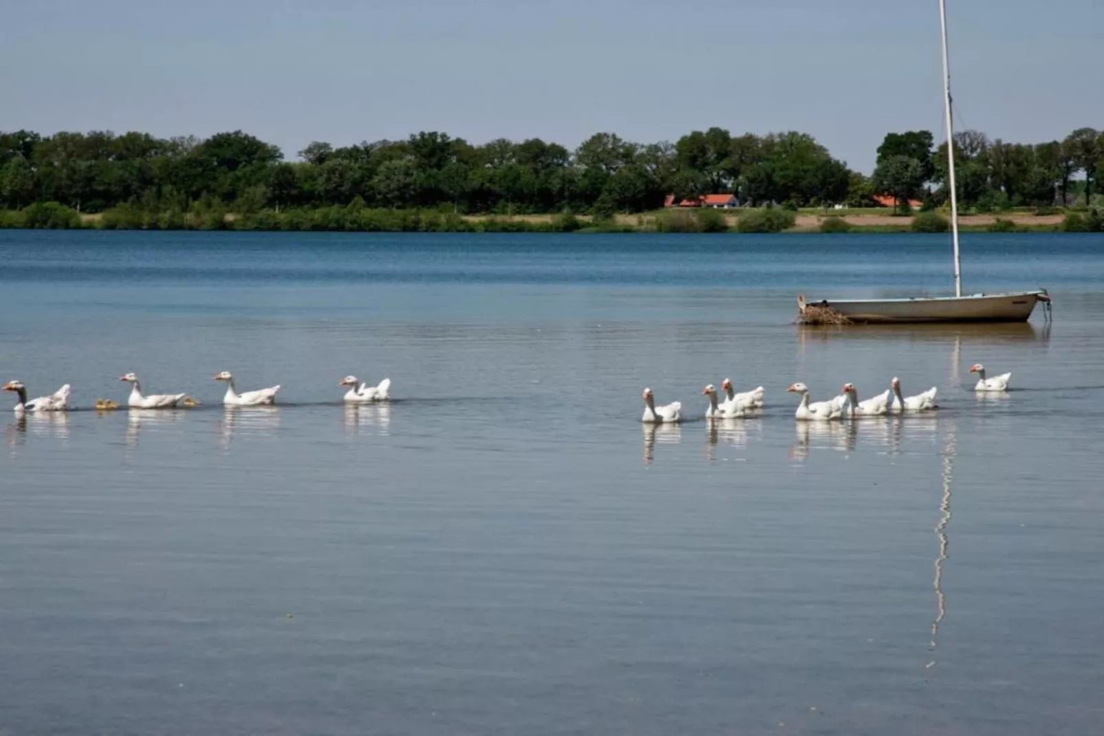 Maaspark Boschmolenplas - Vennenblik-Gebieden zomer 20km