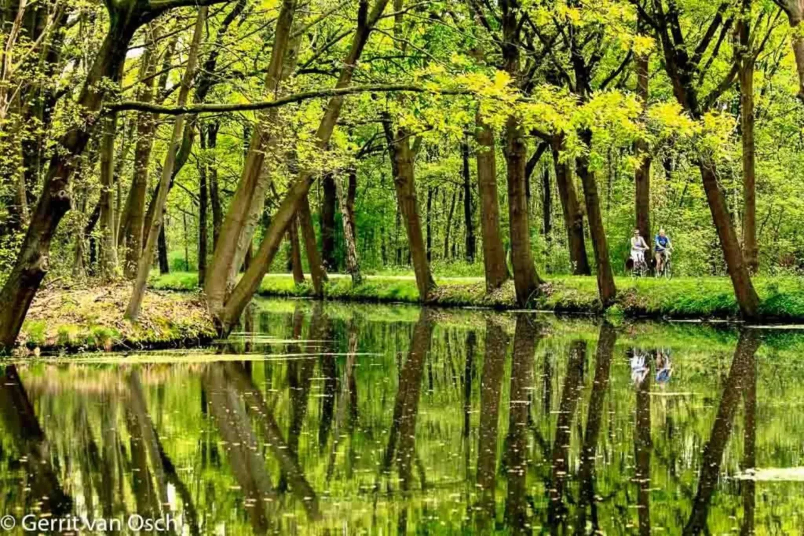 Hoeve A Gen Water - Hummesknupke-Gebieden zomer 20km