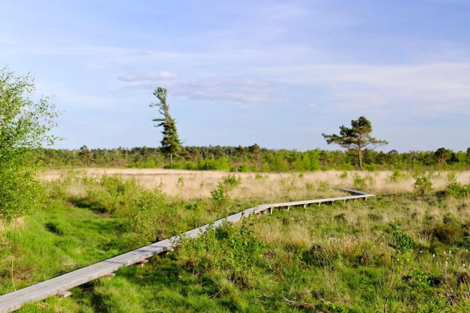 Huus in 't Hagt-Gebieden zomer 20km