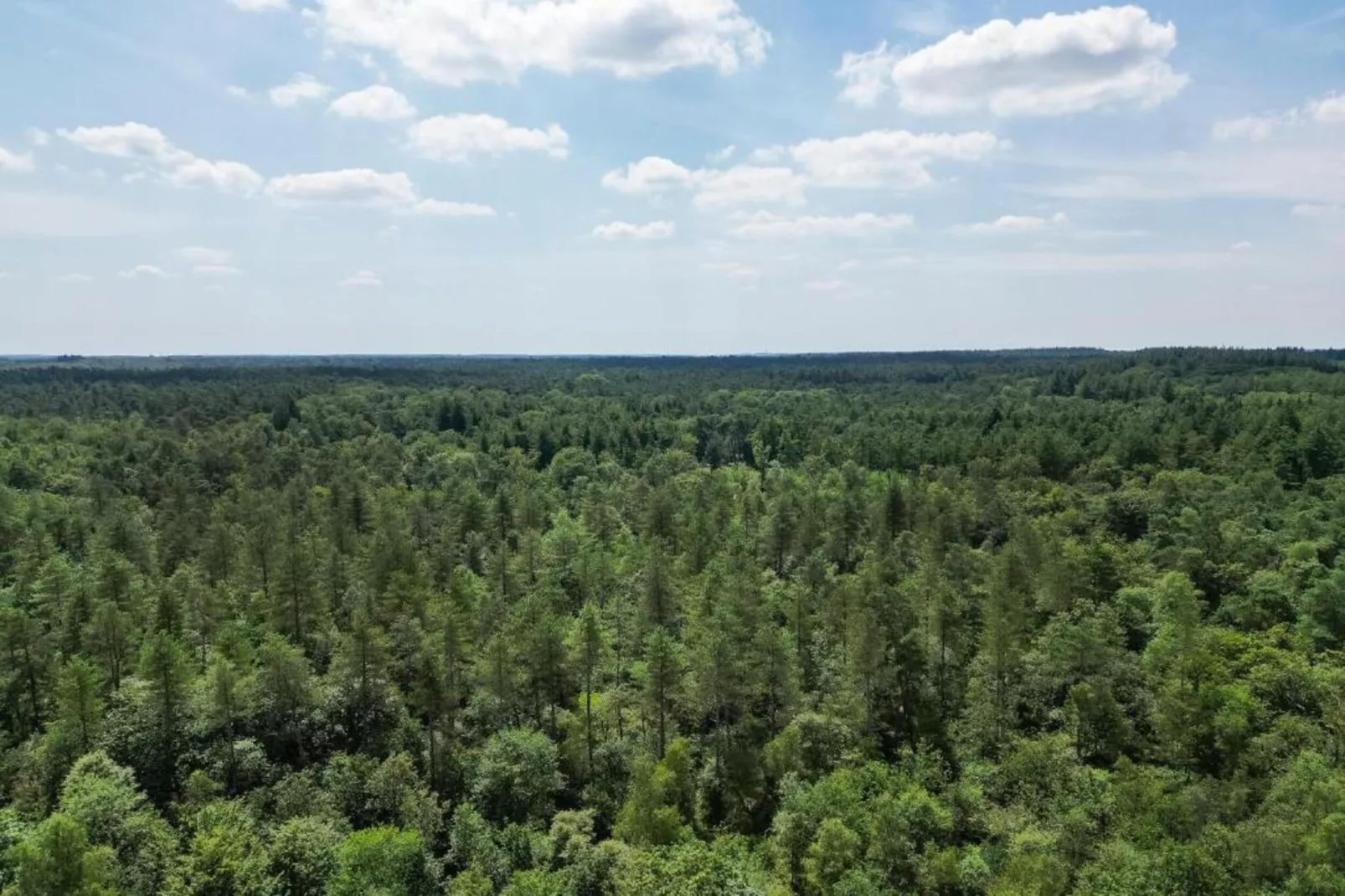 Bungalowpark Hoenderloo 1-Gebieden zomer 20km