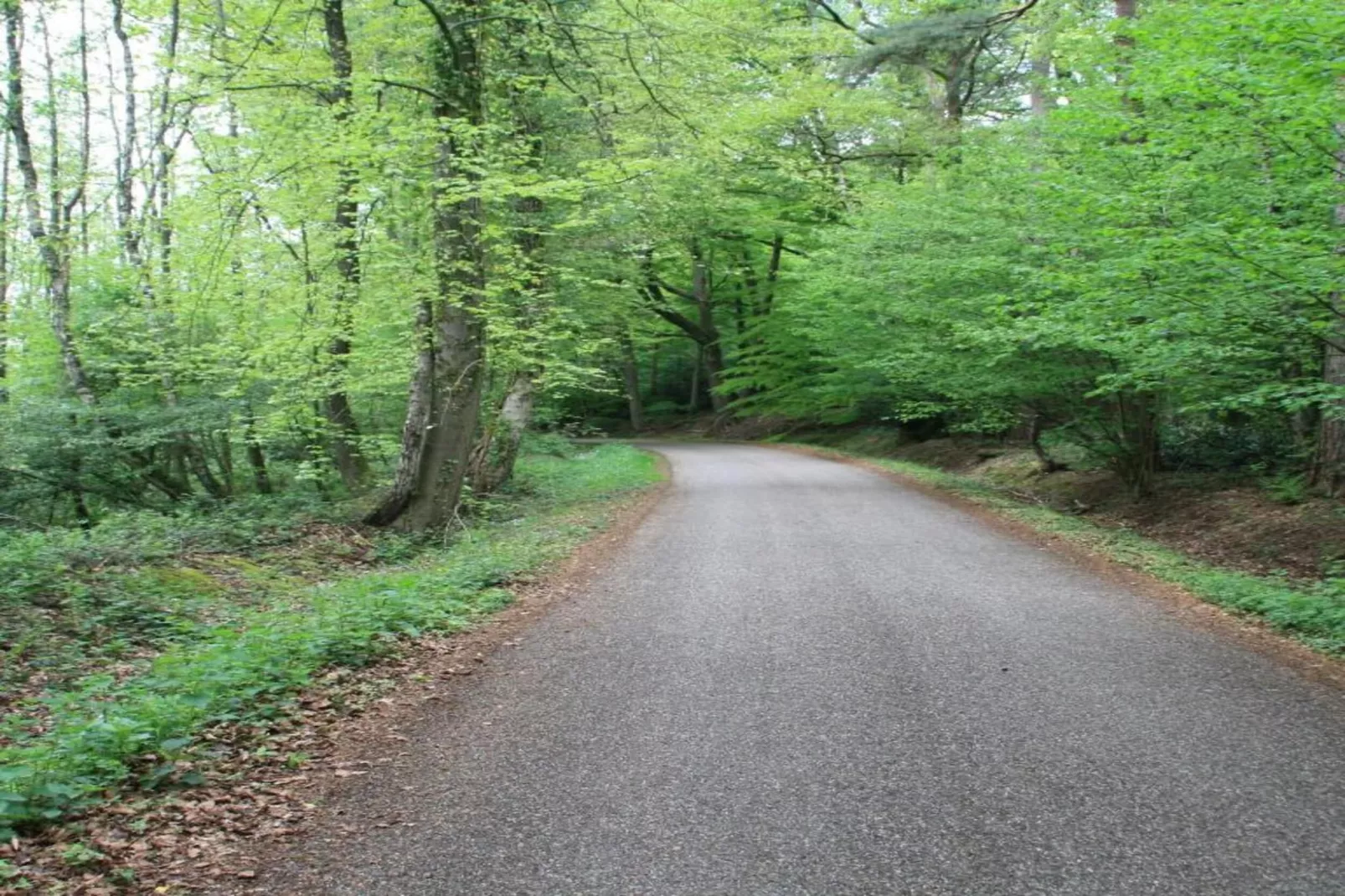 Chaletpark Kuiperberg 1-Gebieden zomer 5km