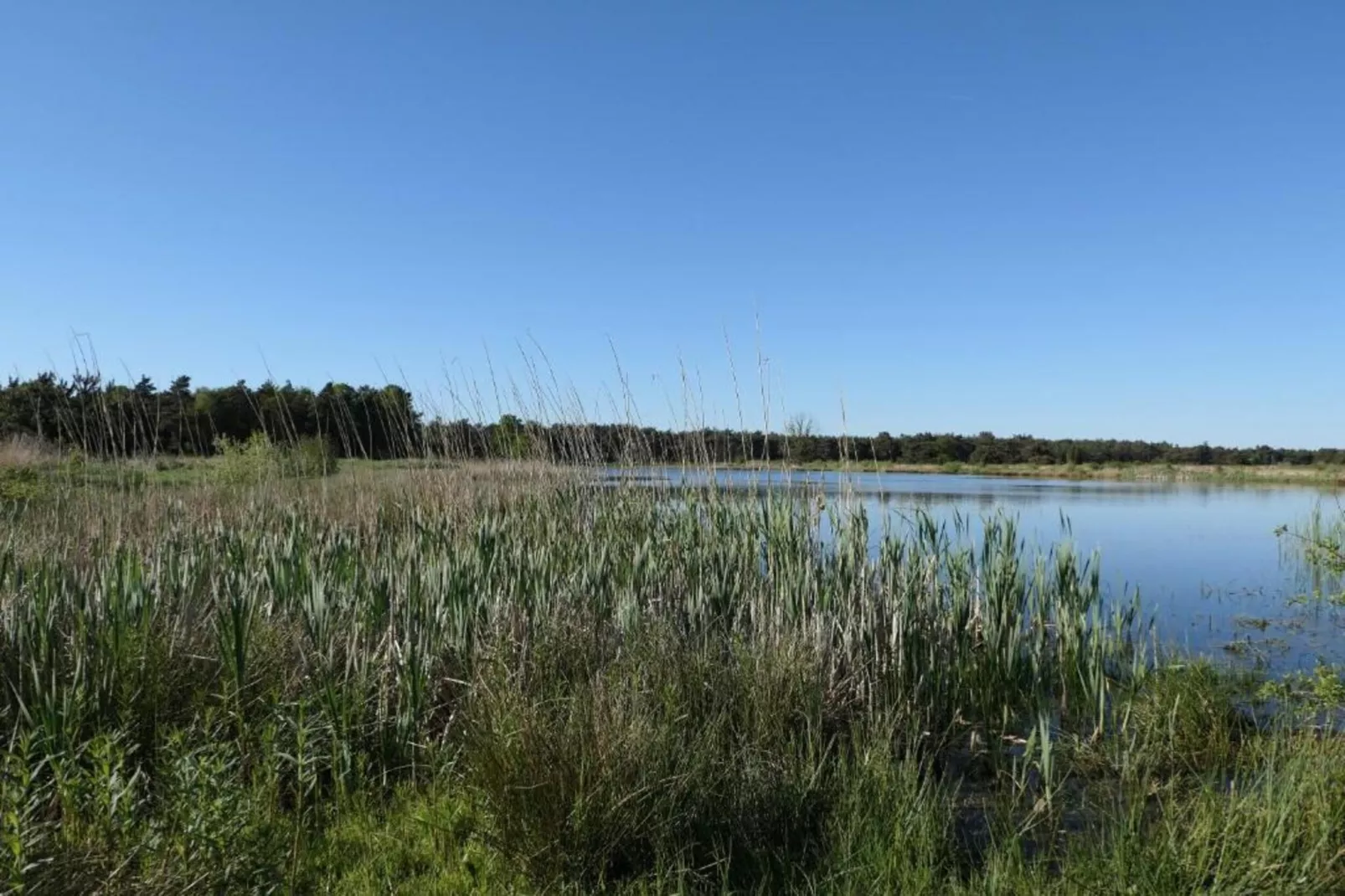 Recreatiepark Tolplas 1-Gebieden zomer 5km