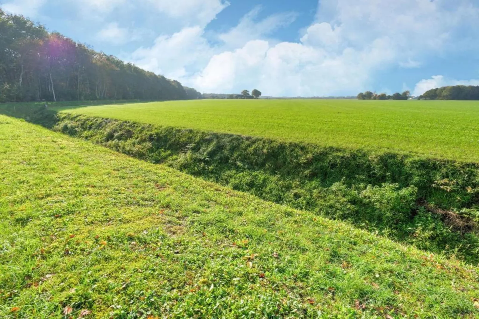 Chalet in Vledder-Gebieden zomer 20km