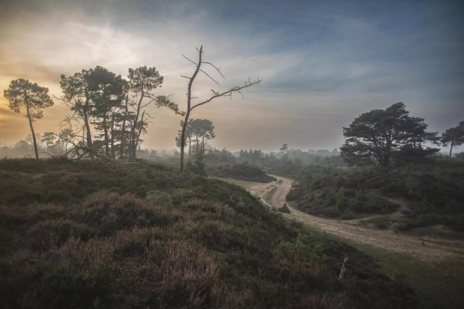 Chalet Vrijzicht-Gebieden zomer 20km