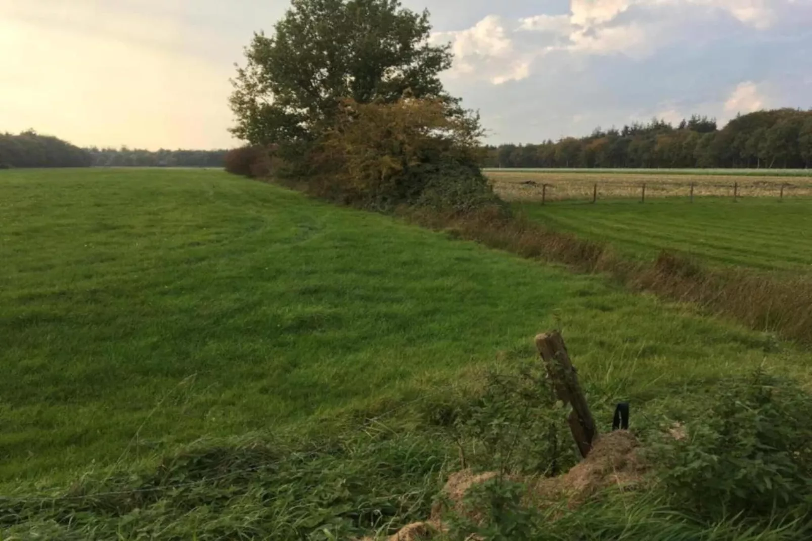 Lyts Sypenstien-Gebieden zomer 5km