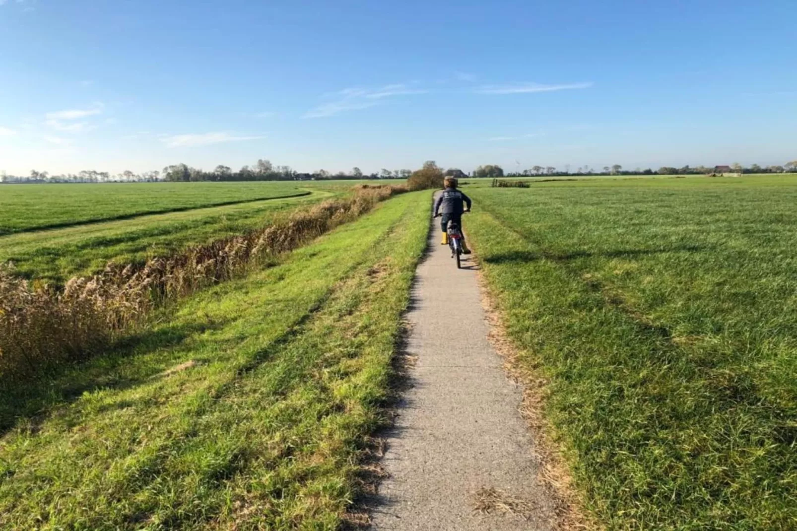 Pronkkeamer Skrins-Gebieden zomer 5km