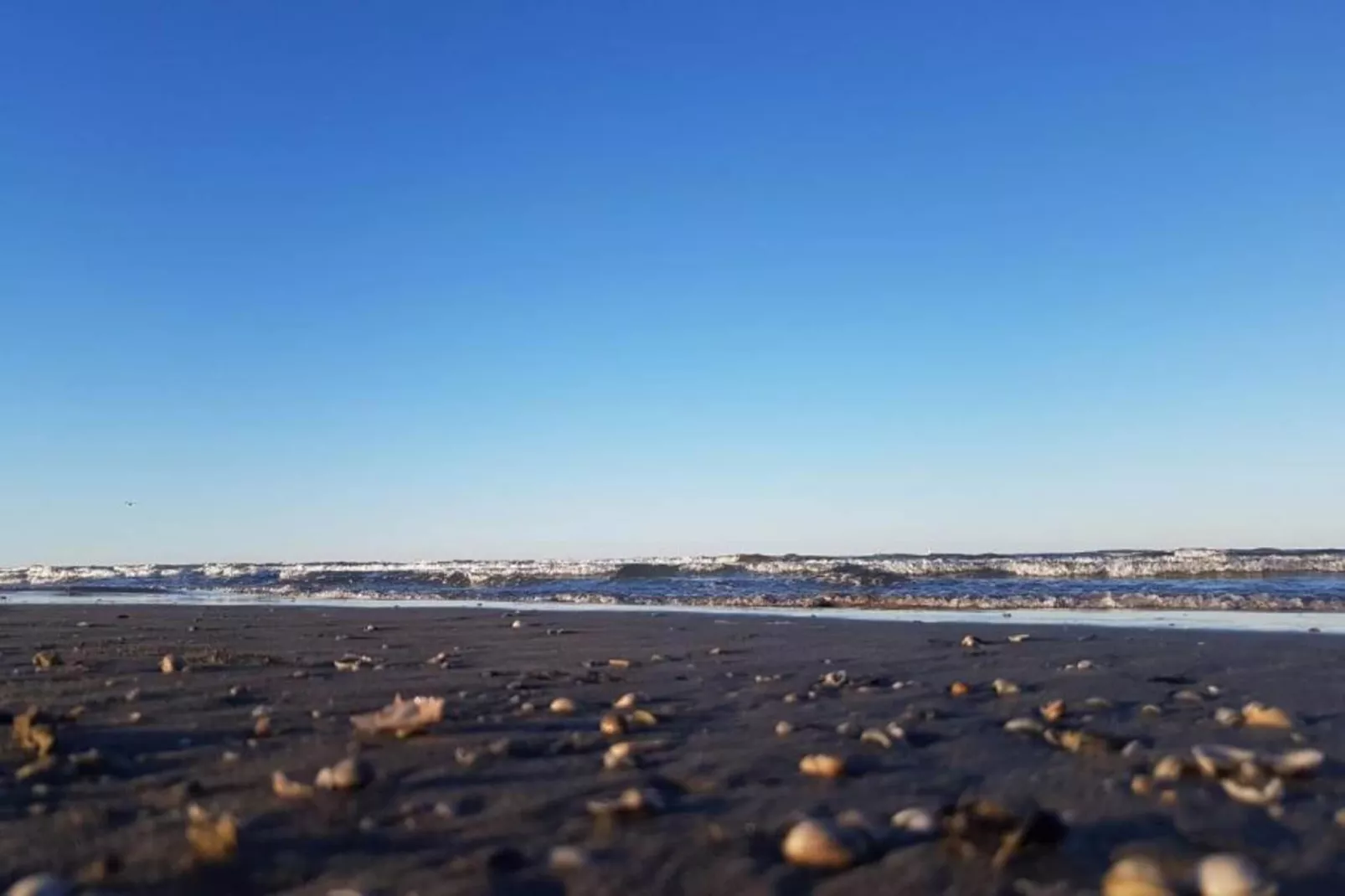 Antares Cesenatico-Gebieden zomer 5km