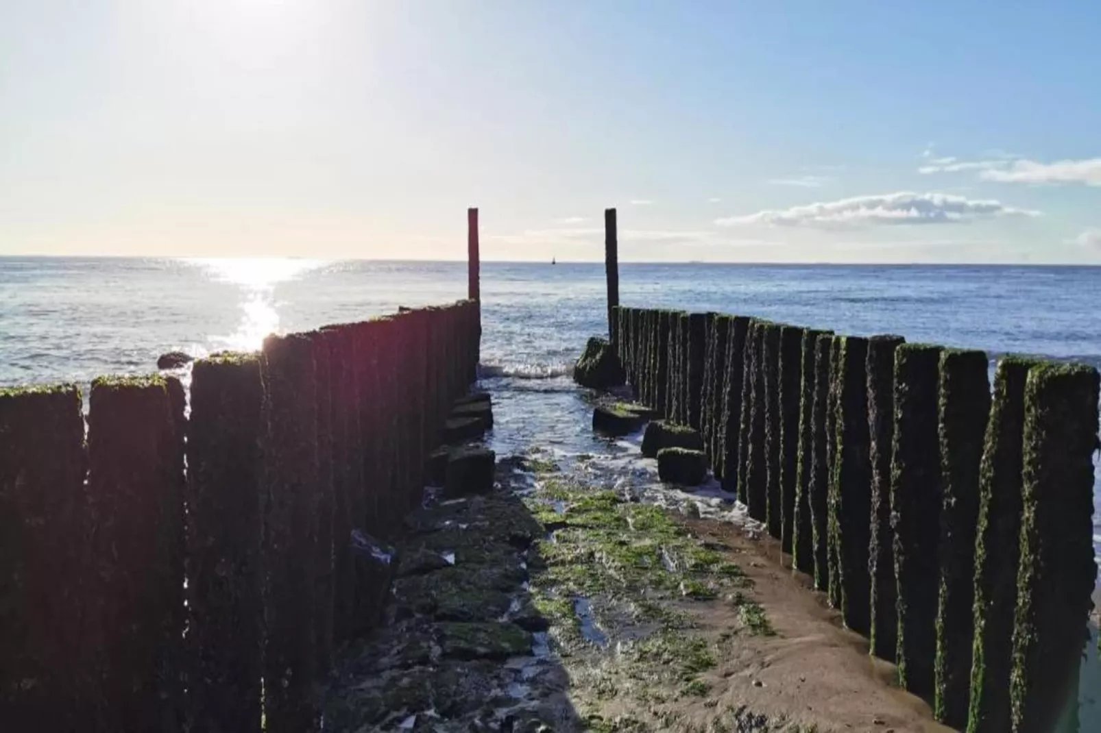 Vakantiepark Zeebad 17-Gebieden zomer 5km