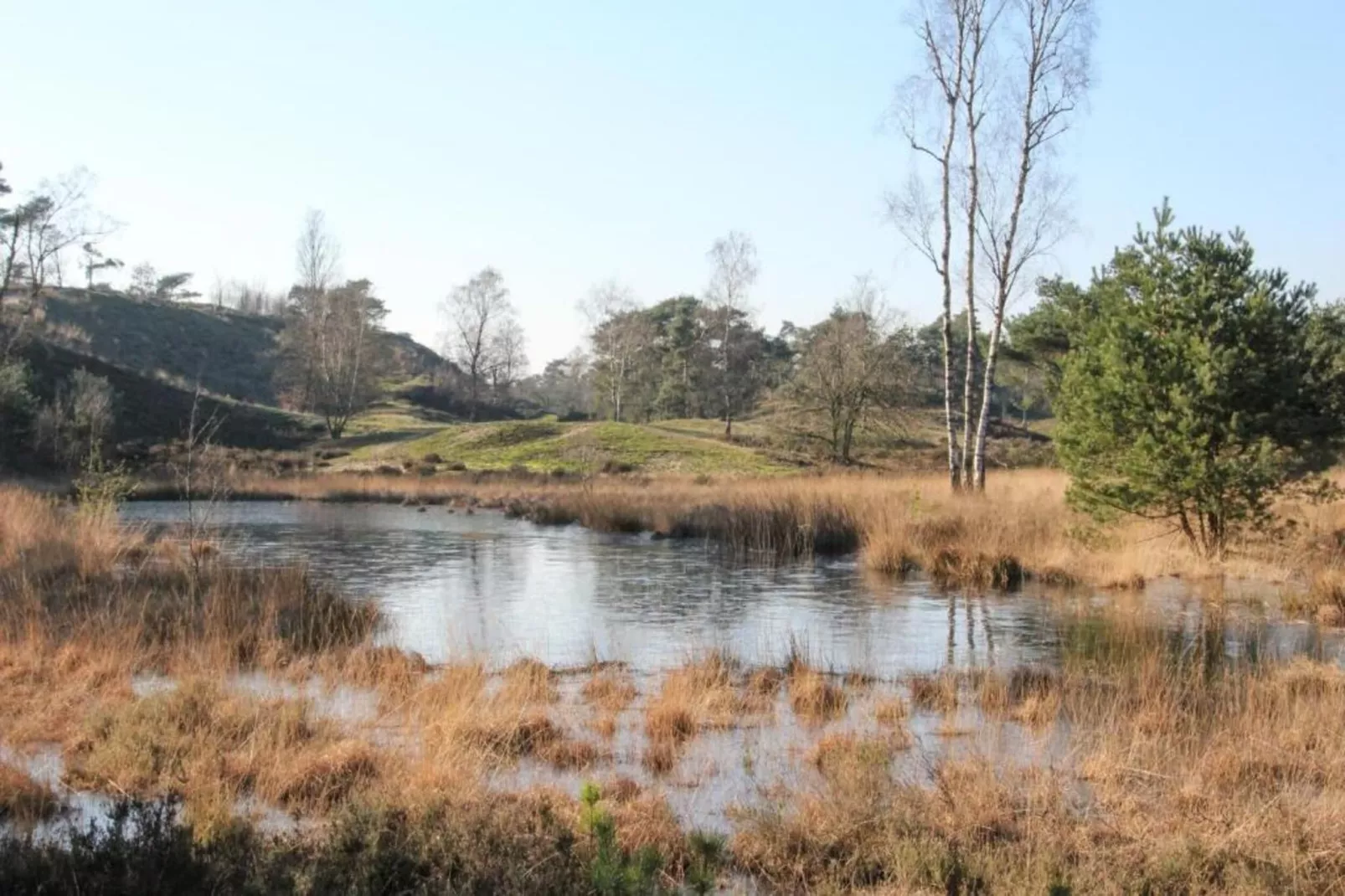 Vakantiepark Leukermeer 3-Gebieden zomer 20km