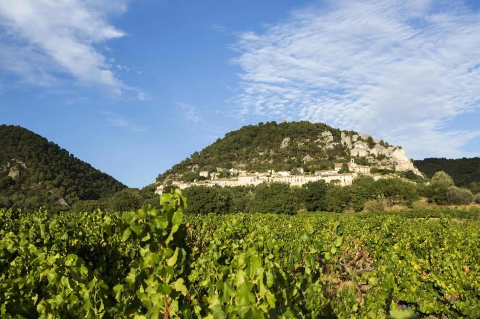 Laurence-Gebieden zomer 20km
