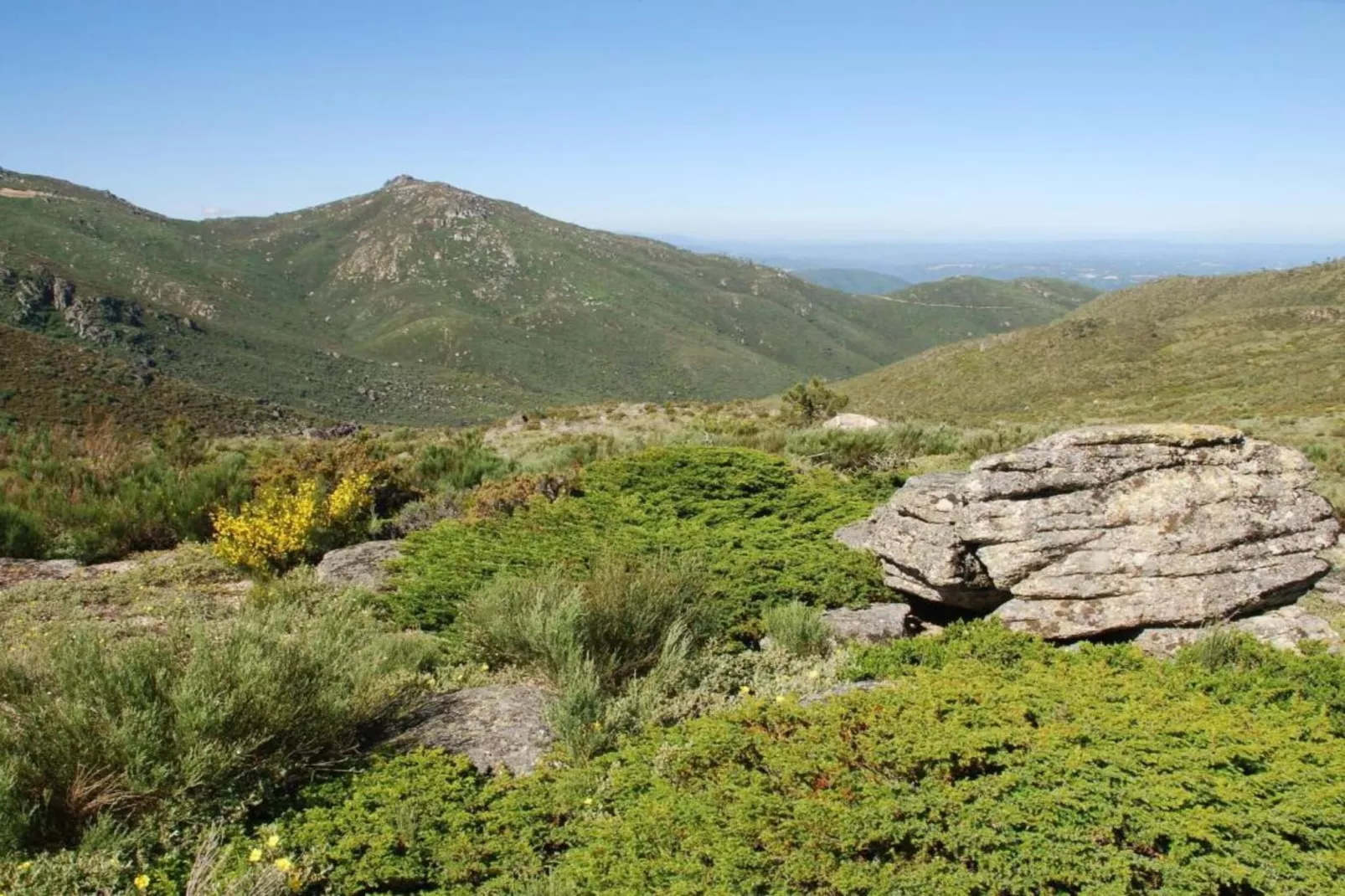 Casa Oliveirinha-Gebieden zomer 20km