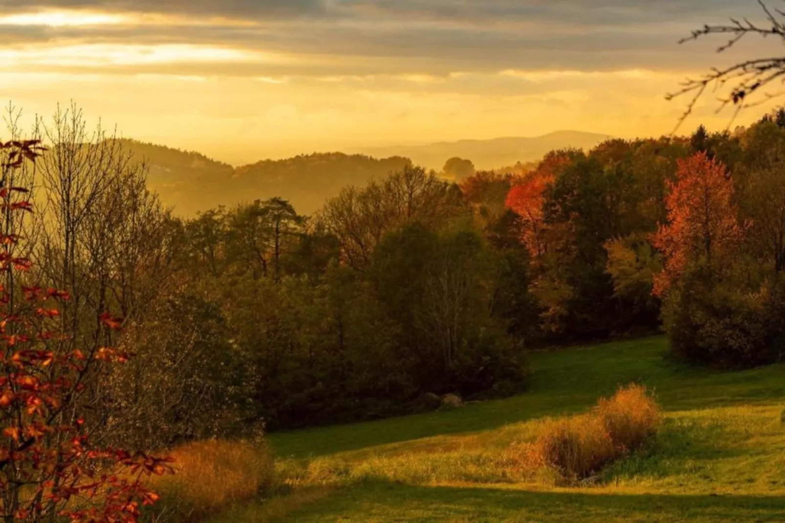 	Holiday flats Haus am Wald Zenting-Wohnung für 2 Personen-Gebieden zomer 20km