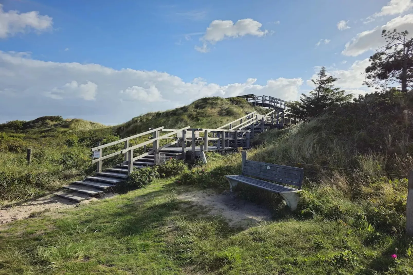 Strandperle-Gebieden zomer 5km