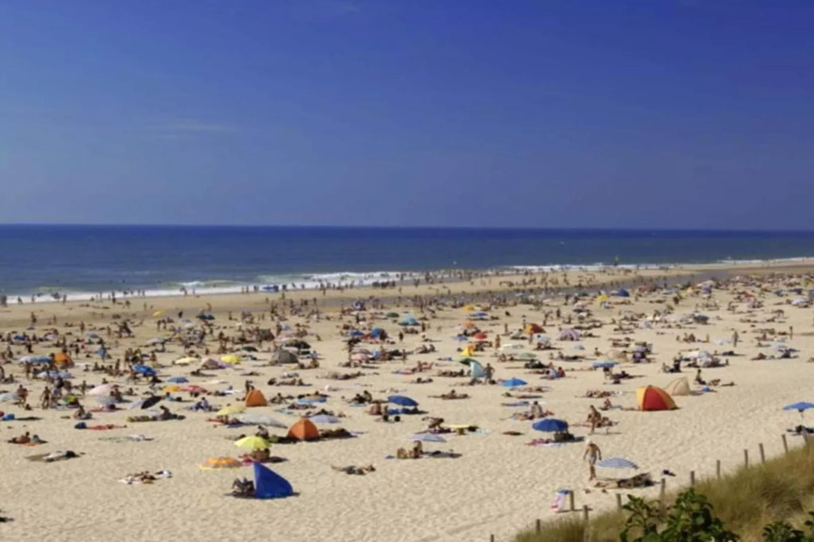 Résidence les Hameaux de l'Océan 1-Gebieden zomer 20km