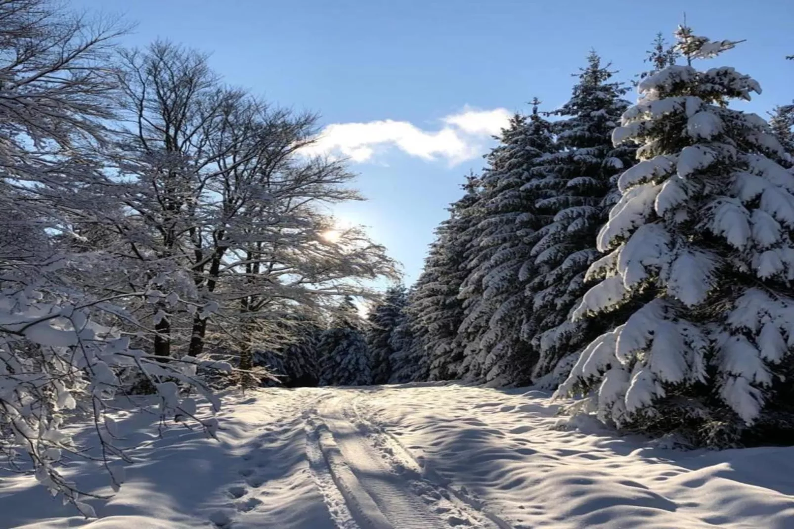Edertal-Gebied winter 20km