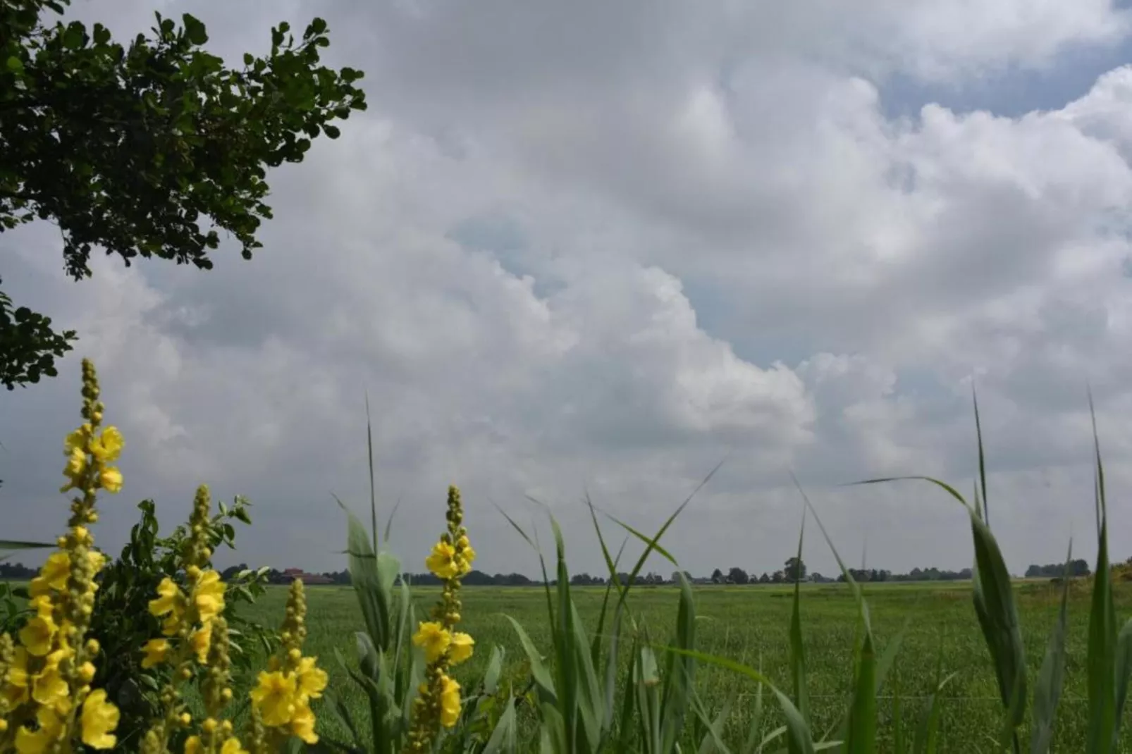 Friese Meren Villa's 20-Gebieden zomer 20km