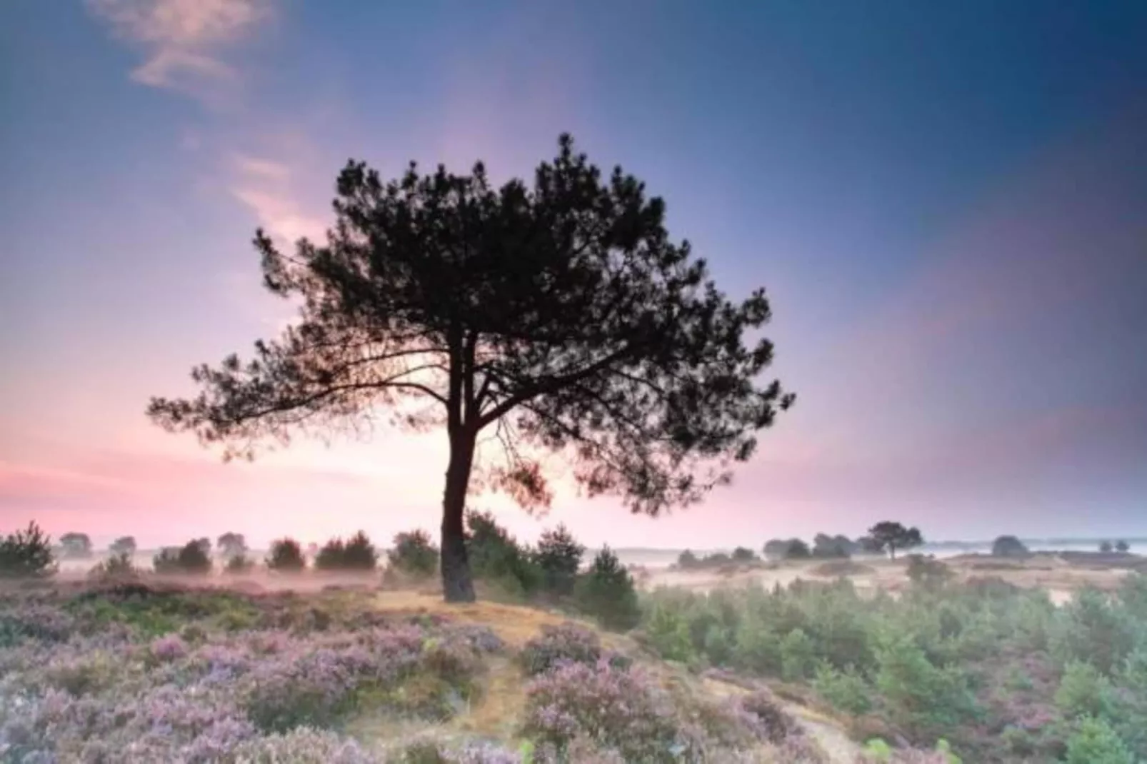 Glamping Resort Lauwersmeer 3-Gebieden zomer 20km