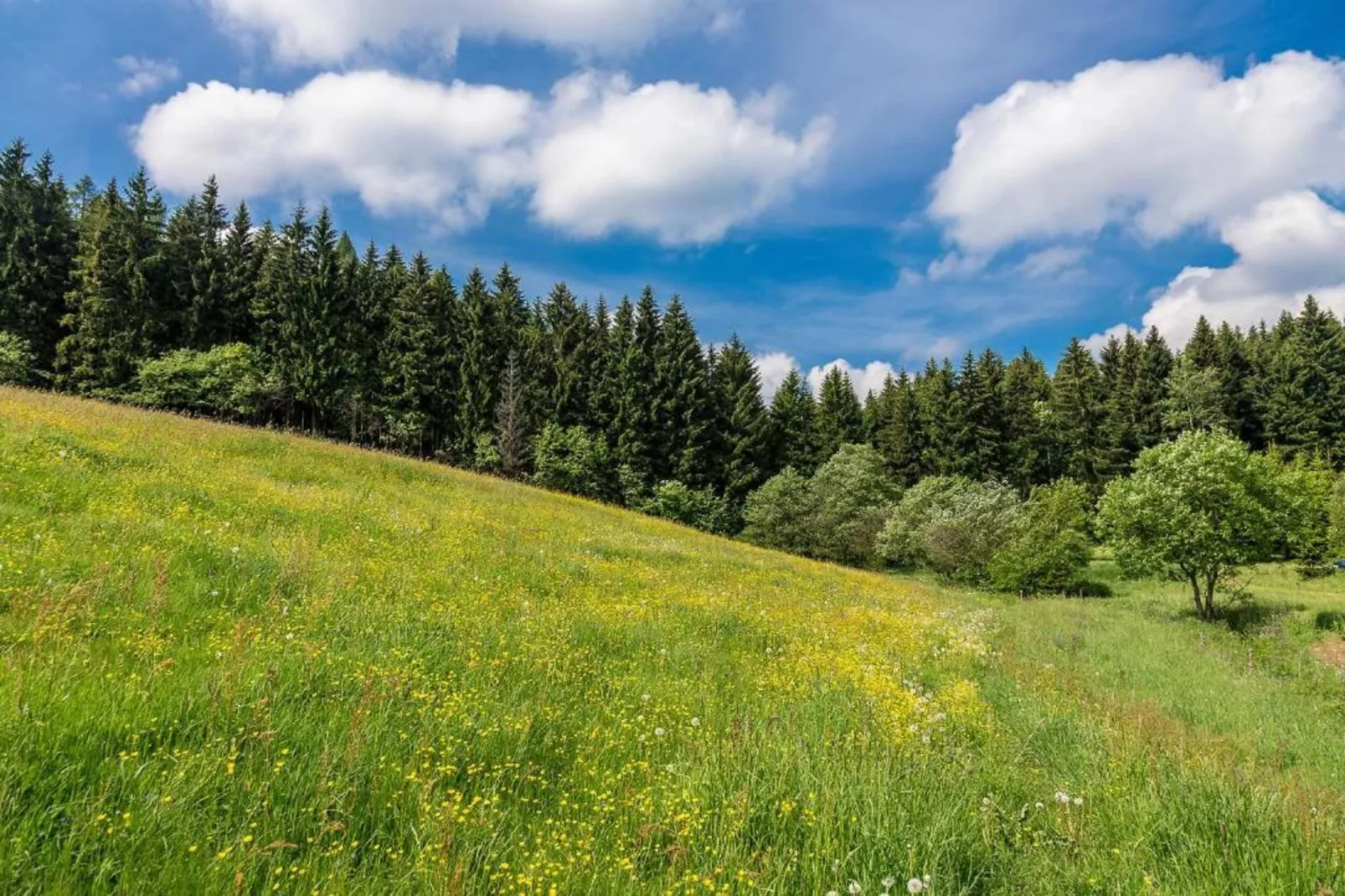 Gruppenferienhaus nähe Kurort Oberwiesenthal-Gebieden zomer 20km