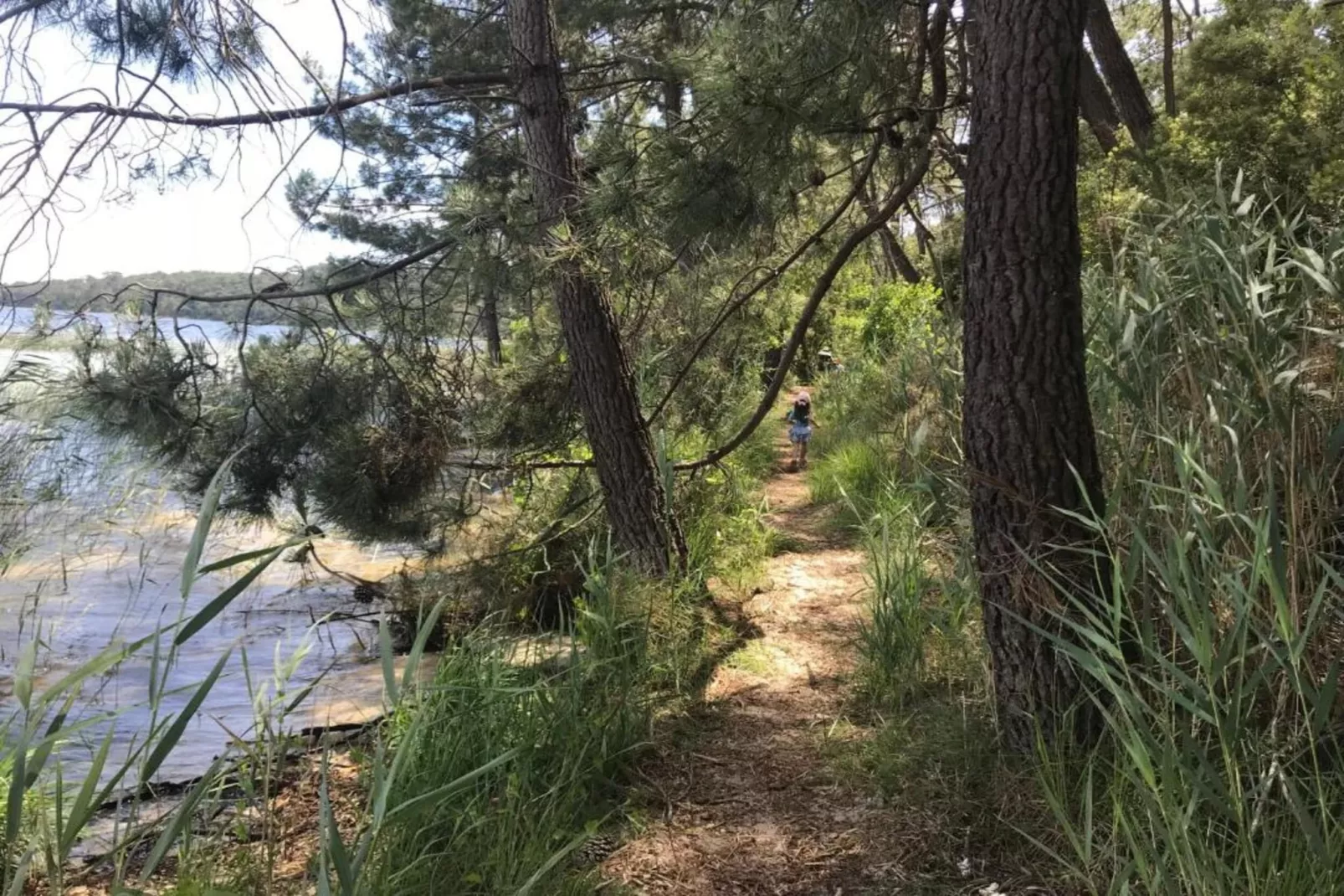 Résidence Le Petit Pont 4-Gebieden zomer 1km