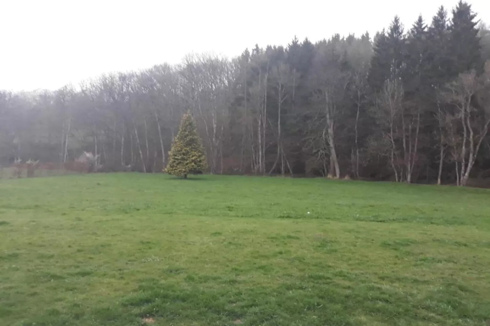 Chalet Interwood d'Oré-Gebieden zomer 20km