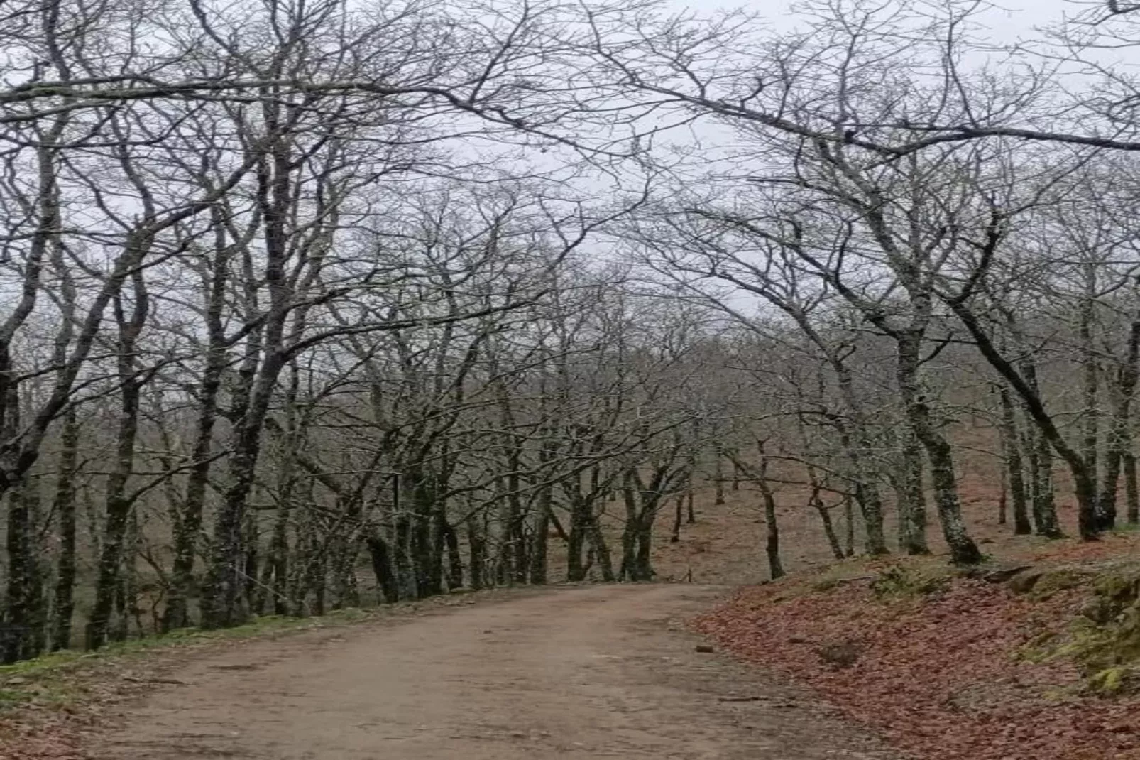 Casa de Pueblo "Rodrigo" Sierra de Gata Cáceres-Gebieden zomer 20km