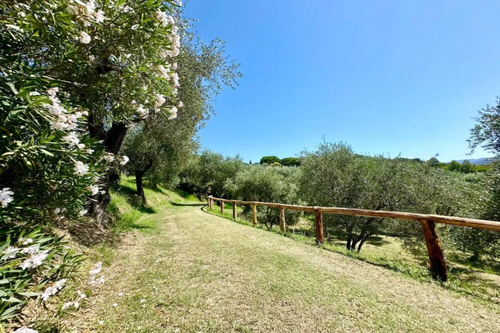 Gromoletta-Gebieden zomer 20km