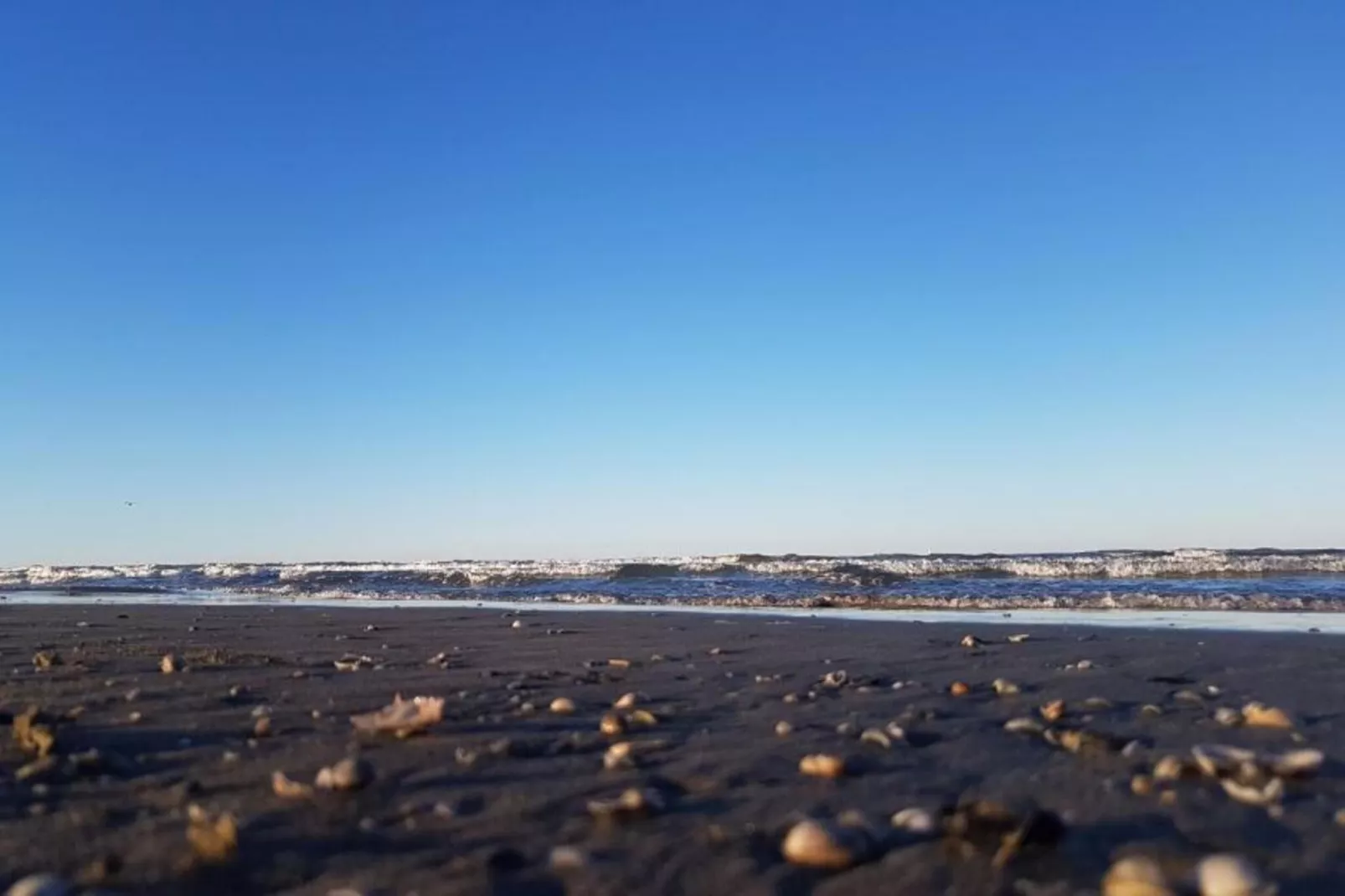 Luna Pineta - Gebieden zomer 1km