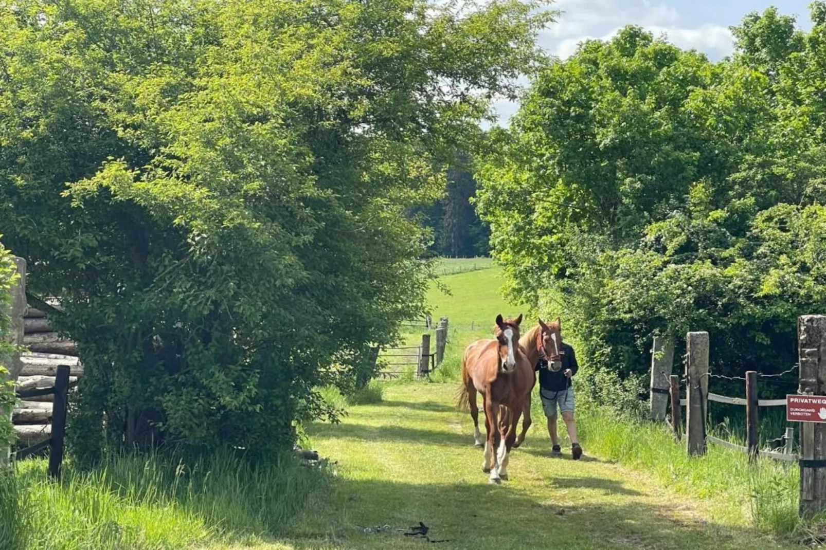 Camping Nommerlayen 2-Gebieden zomer 20km