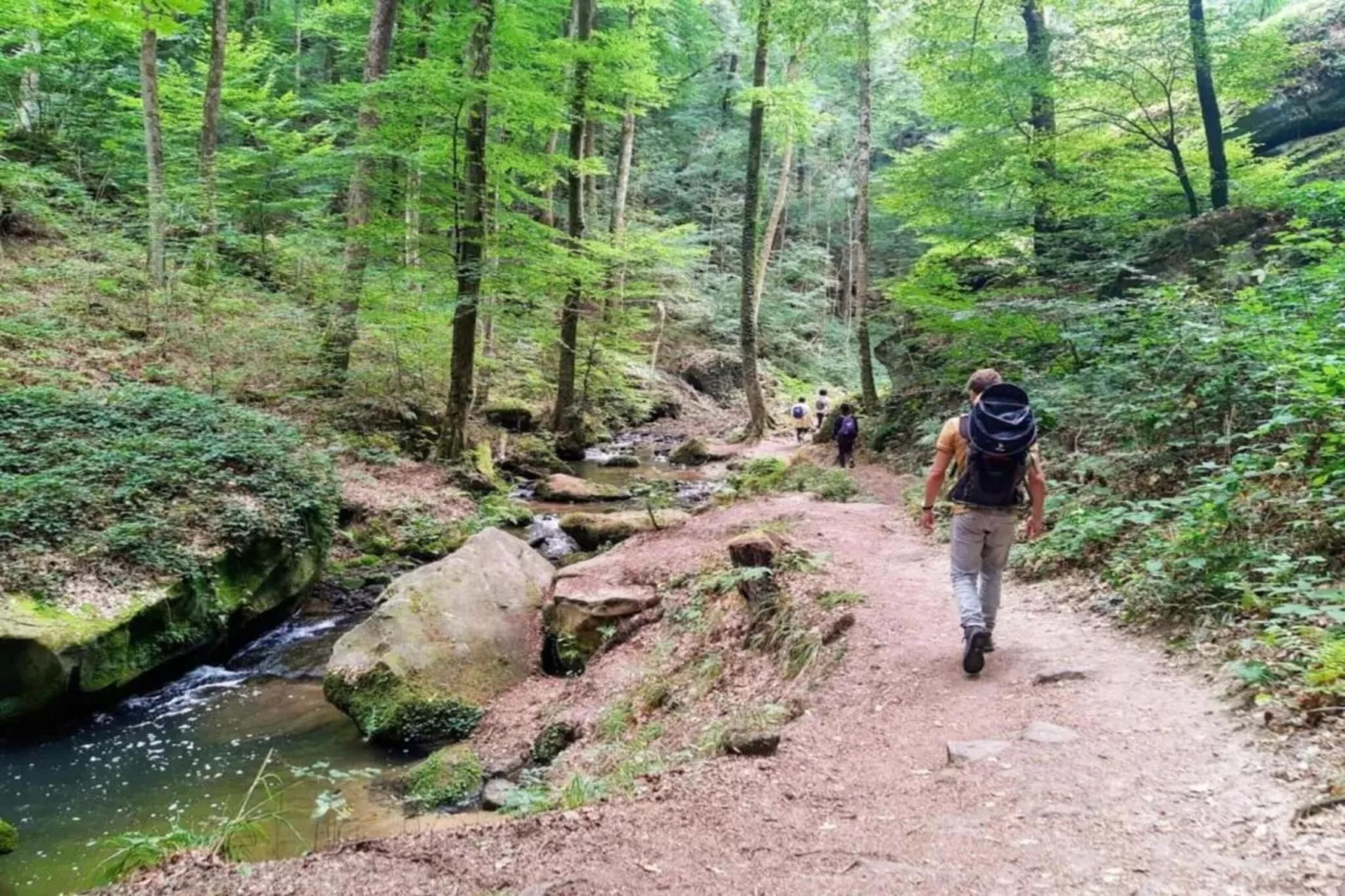 Camping Nommerlayen 1-Gebieden zomer 20km