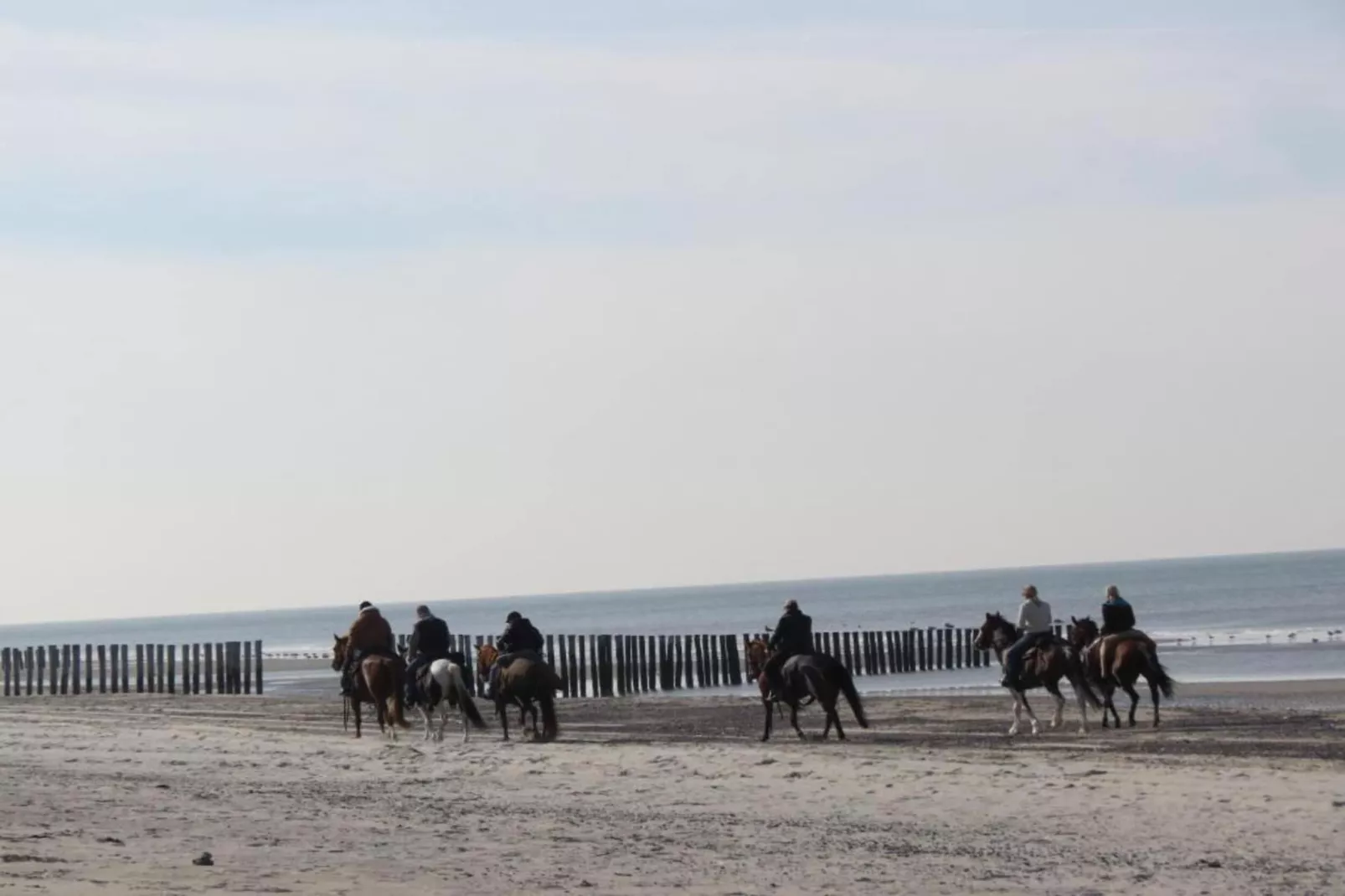 Strandvilla 30-Gebieden zomer 20km