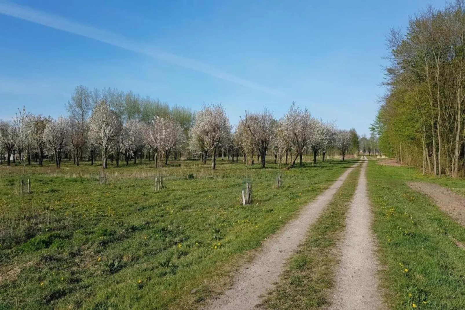 Resort de Parel 14-Gebieden zomer 20km