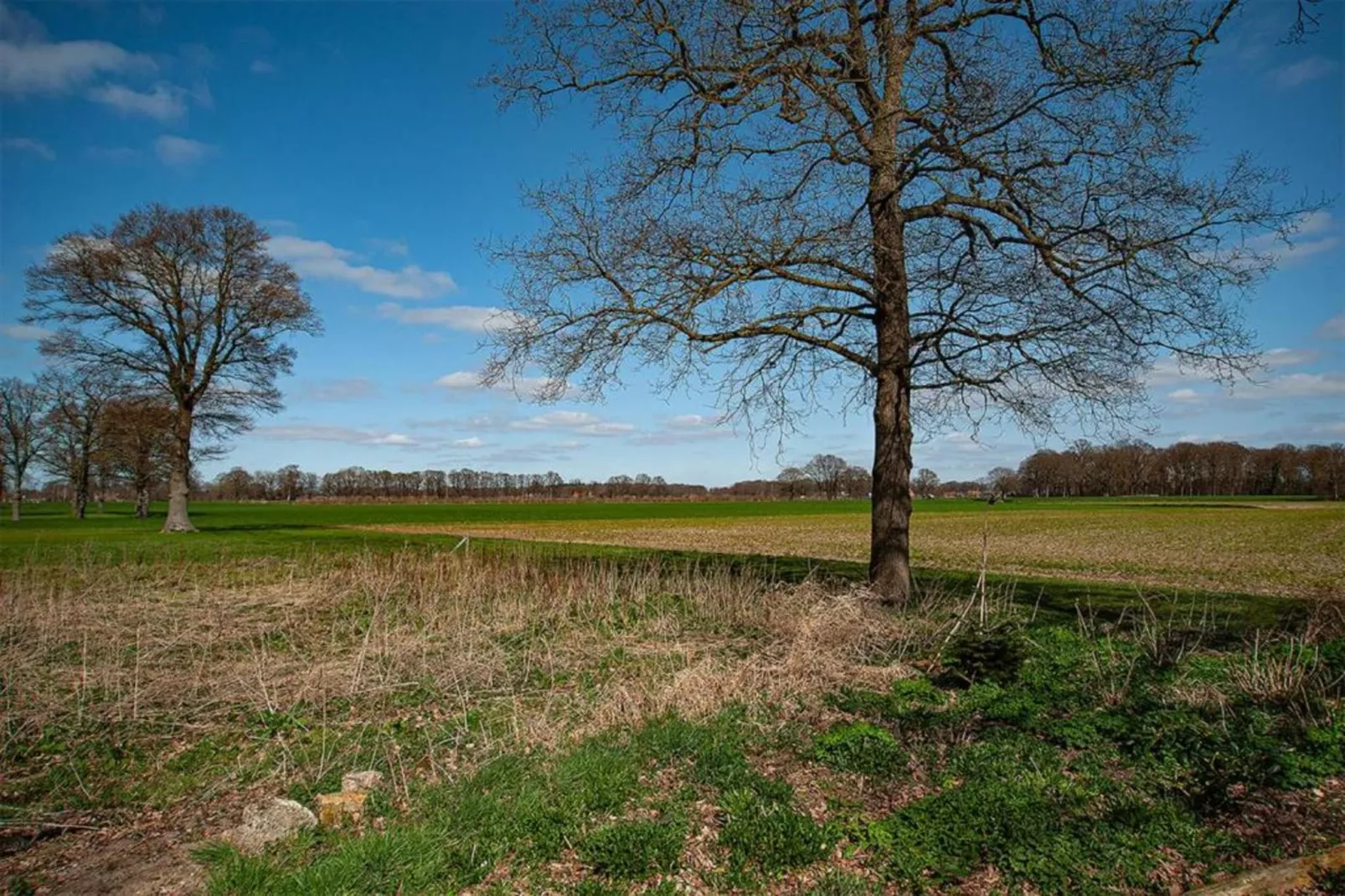 Vakantiewoning de Zwaluw-Gebieden zomer 20km