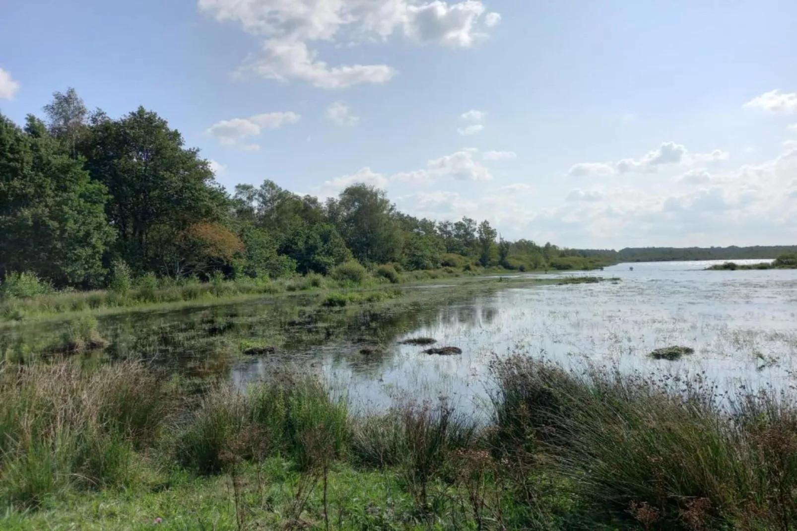 Boshuisje De Koolmees-Gebieden zomer 20km