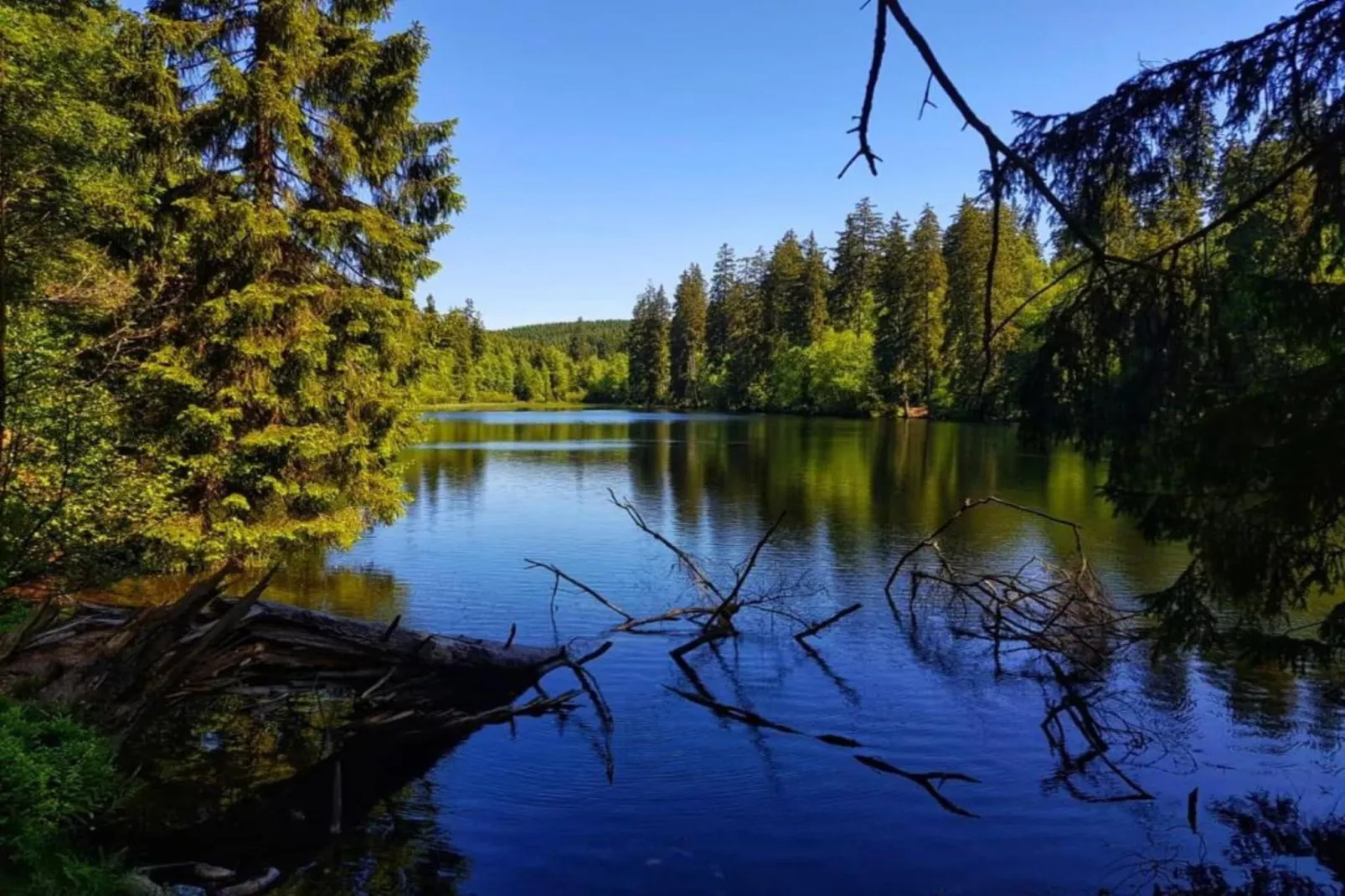 Ferienwohnung Bockwiese-Hahnenklee-Gebieden zomer 20km