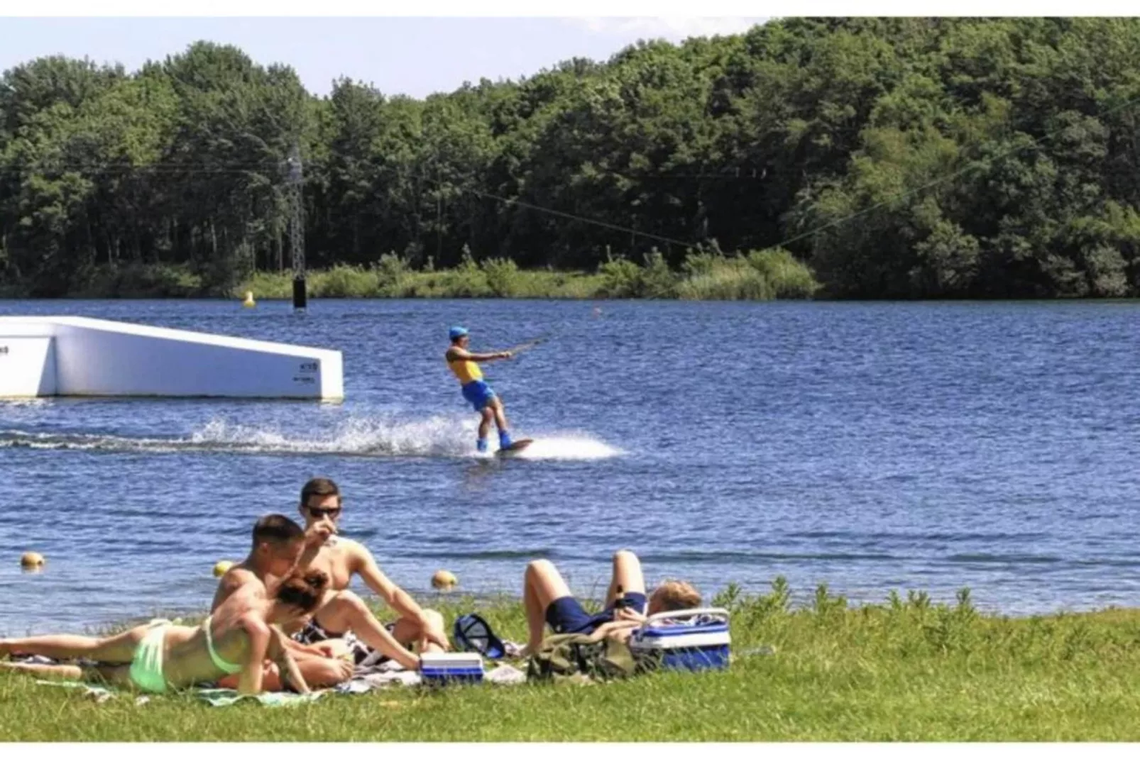 Dwergarend 17-25 - Gebieden zomer 20km