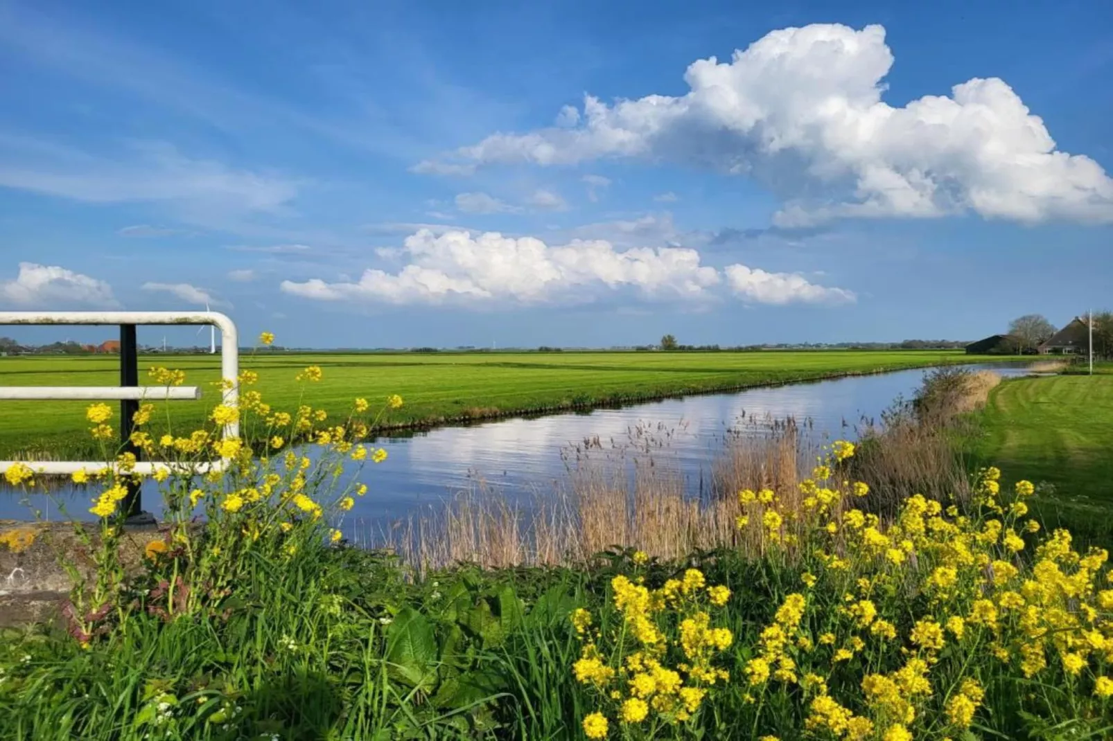 Appartement aan het meer in Heeg-Gebieden zomer 5km