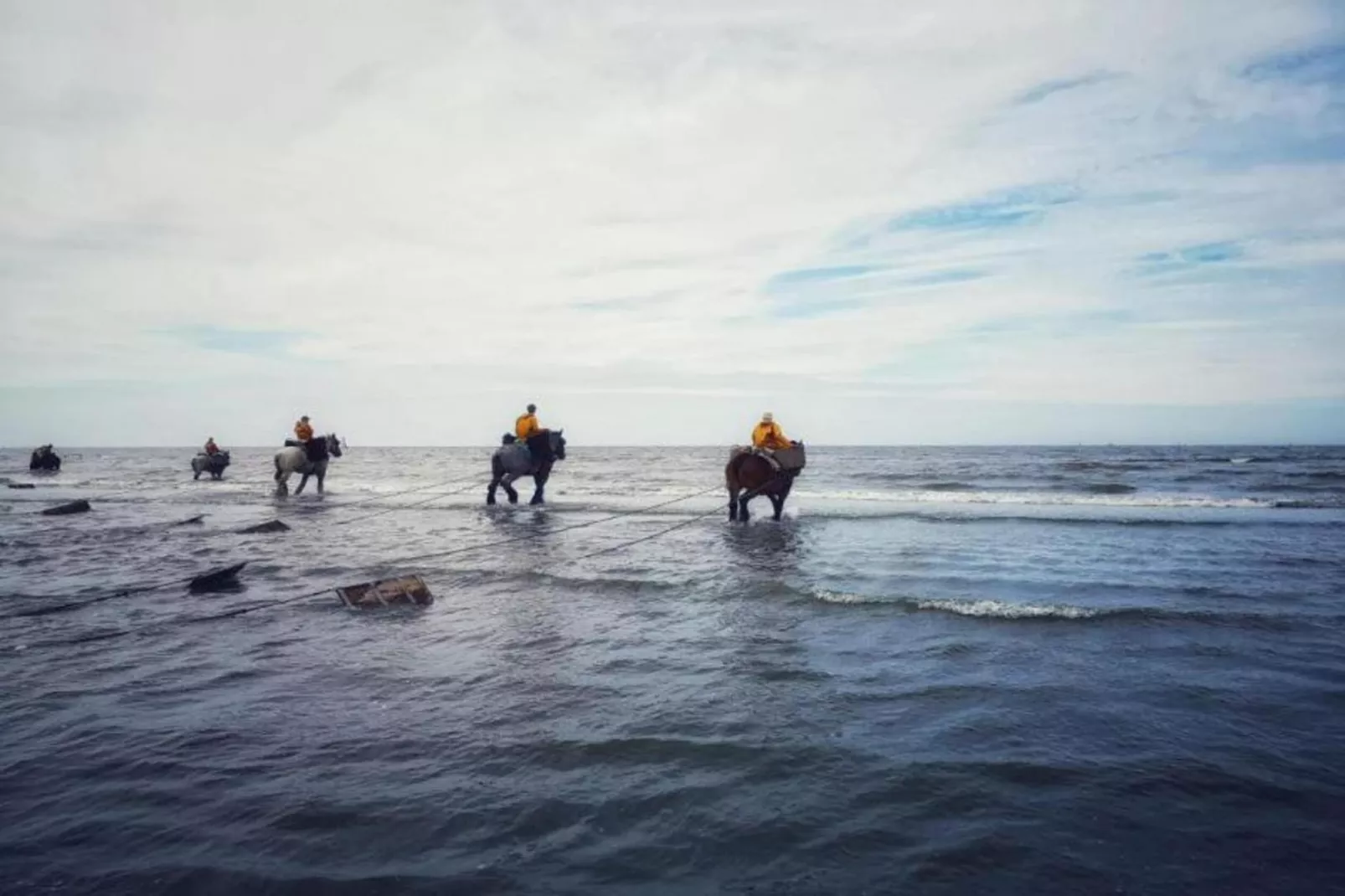 PLAZA I/1842-Gebieden zomer 5km
