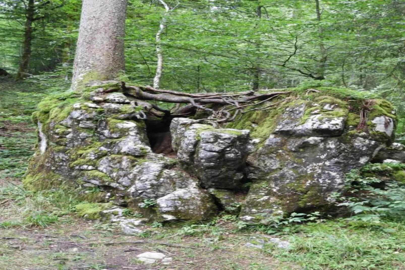 Apartment 3-Gebieden zomer 20km