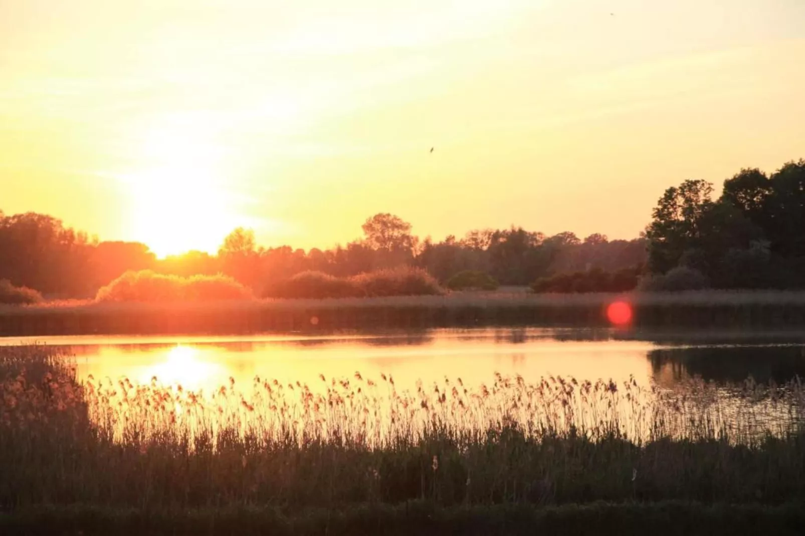 Mobilheim am Goldberger See-Gebieden zomer 20km
