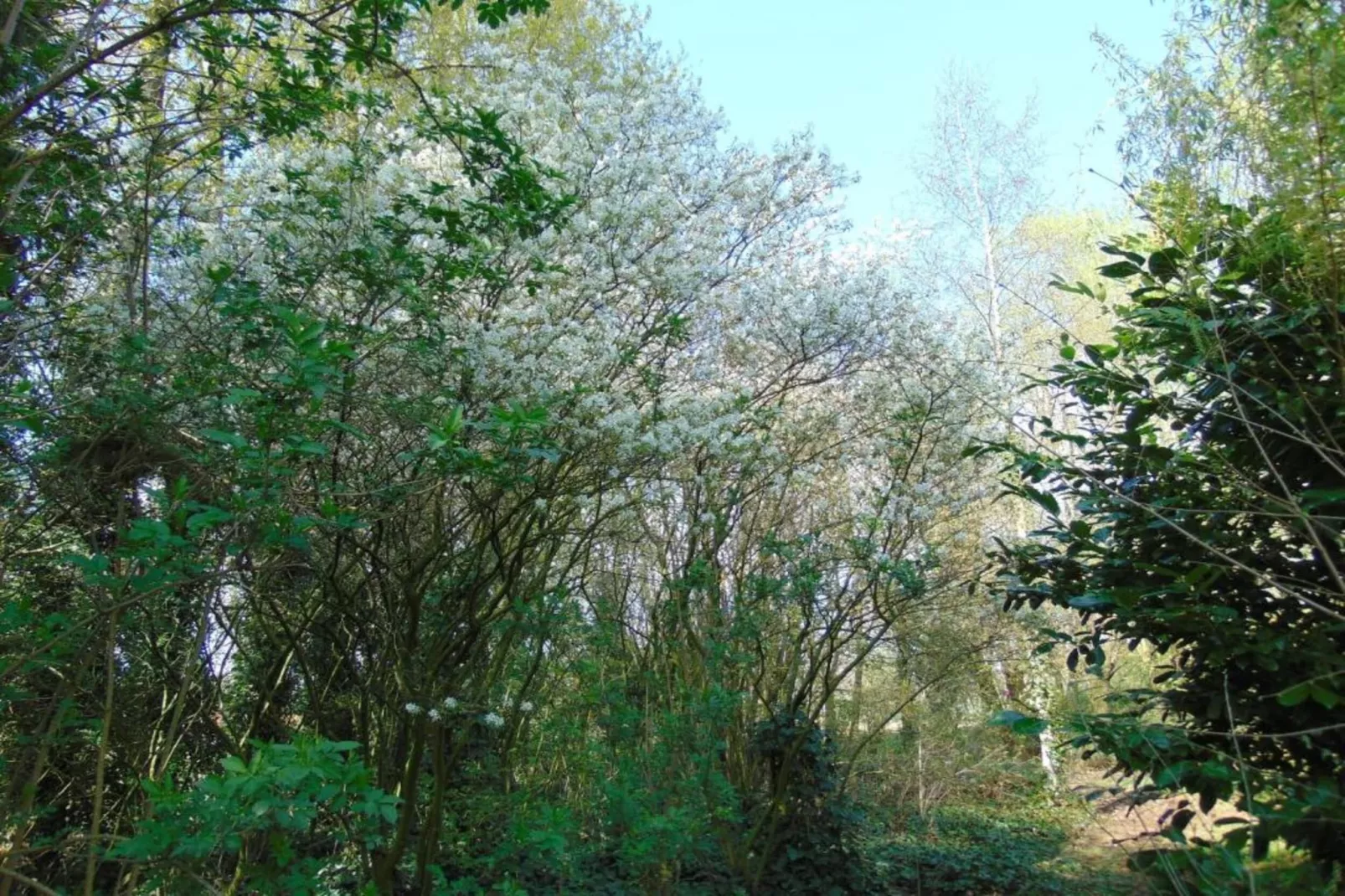 Verblijfpark Breebos 3-Gebieden zomer 20km