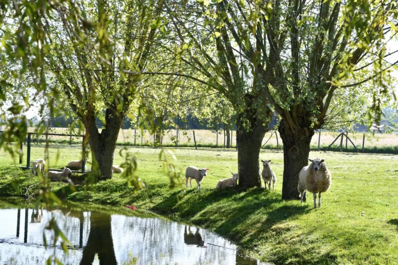 ZONNEKRING 0704GAR-Gebieden zomer 20km