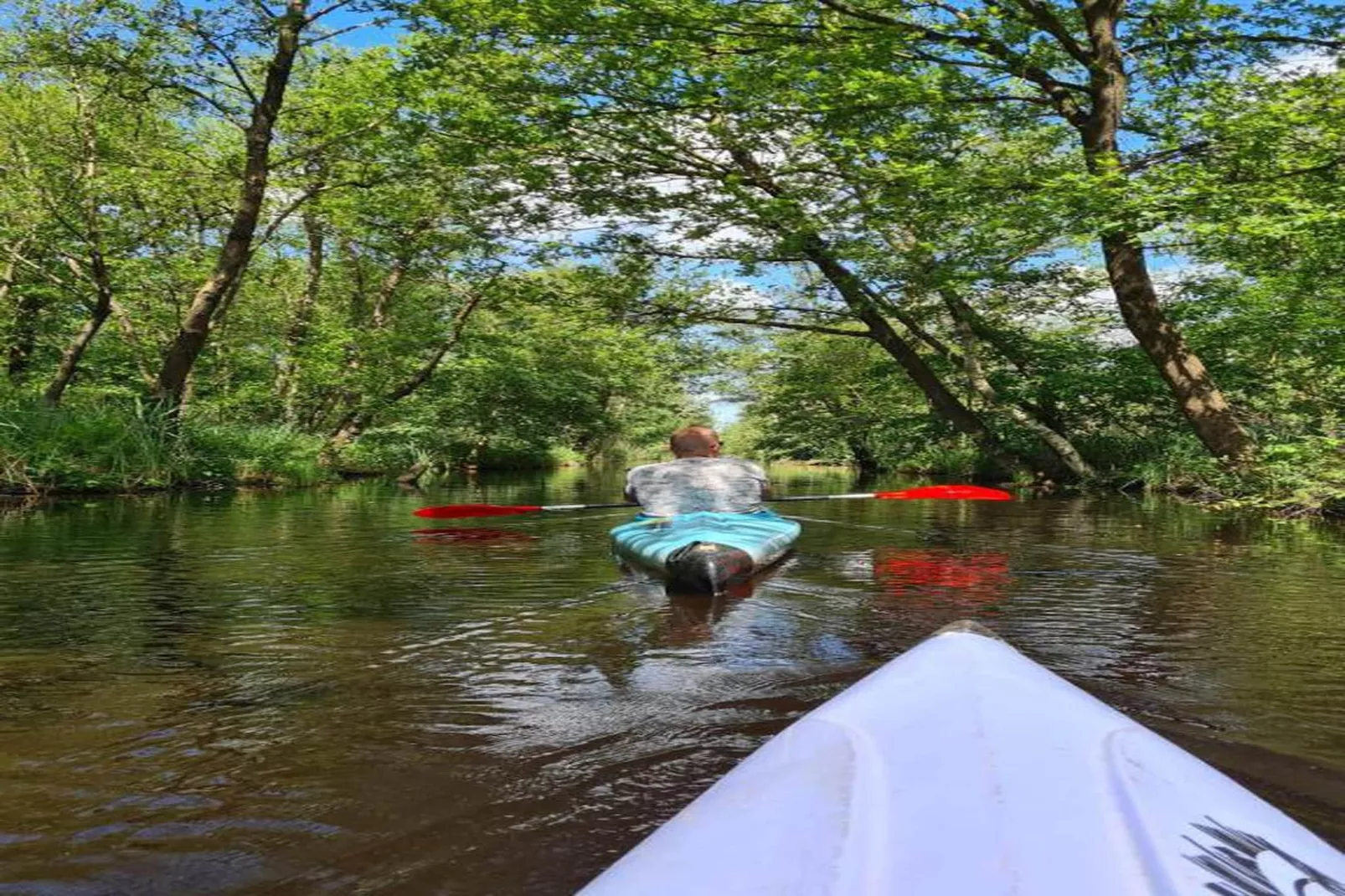 't Landgoed Baars 3-Gebieden zomer 20km