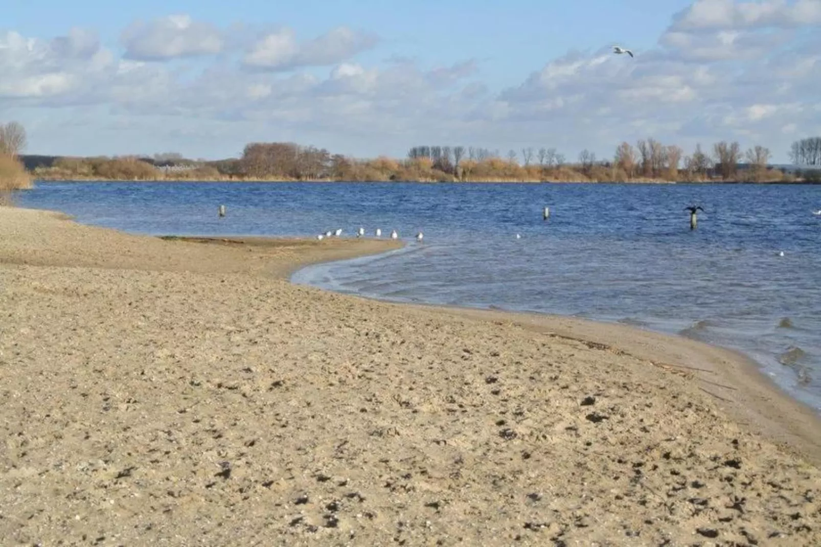 Familiehuis in Noordwijkerhout-Gebieden zomer 5km