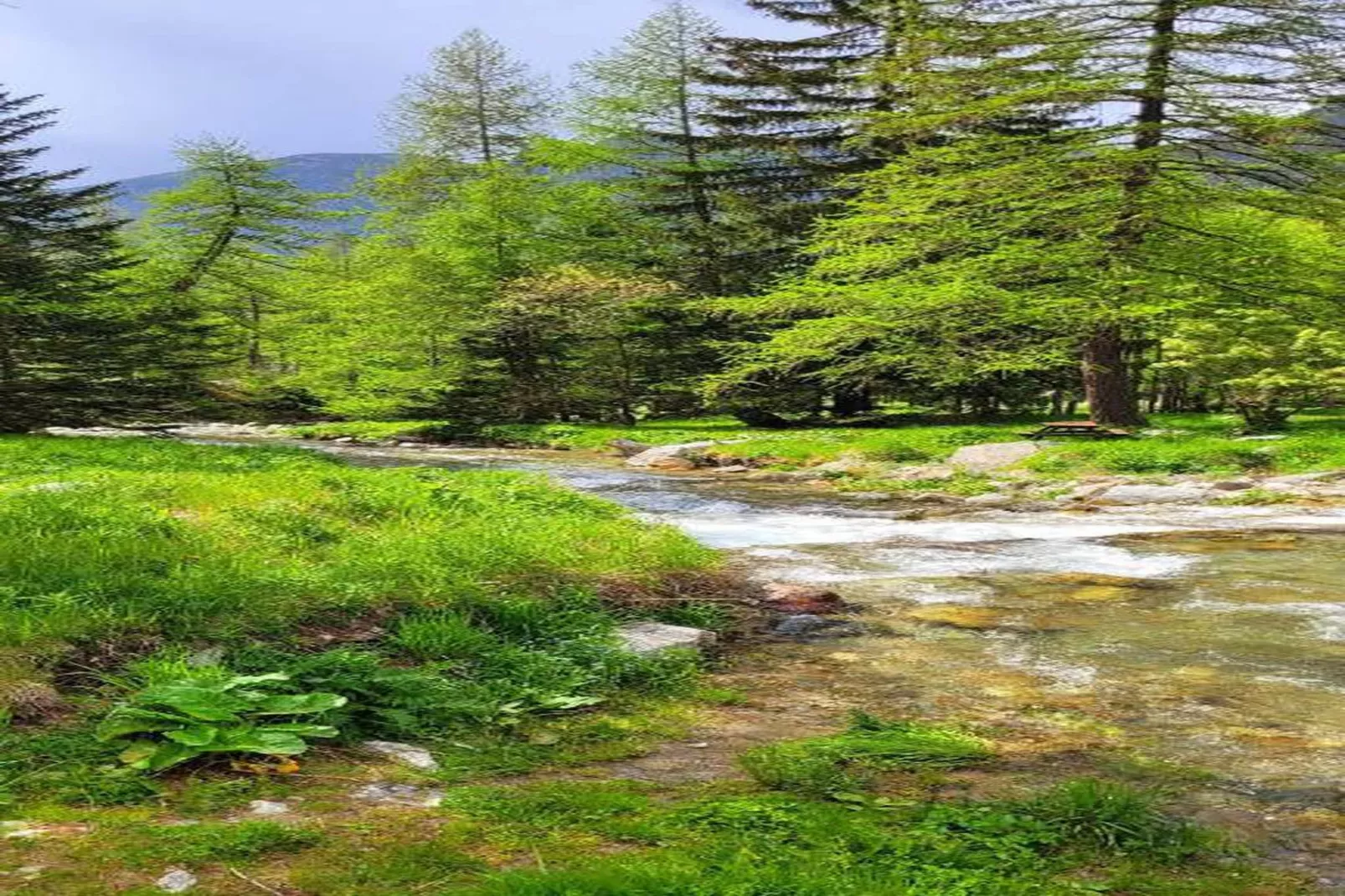 Les Terrasses d'Isola 2-Gebieden zomer 20km