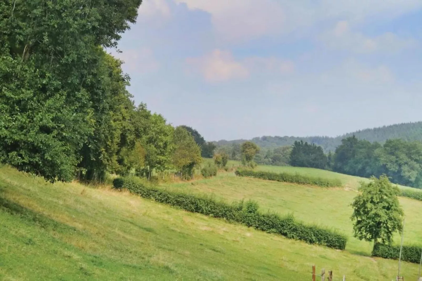 JUNGLE-Gebieden zomer 20km