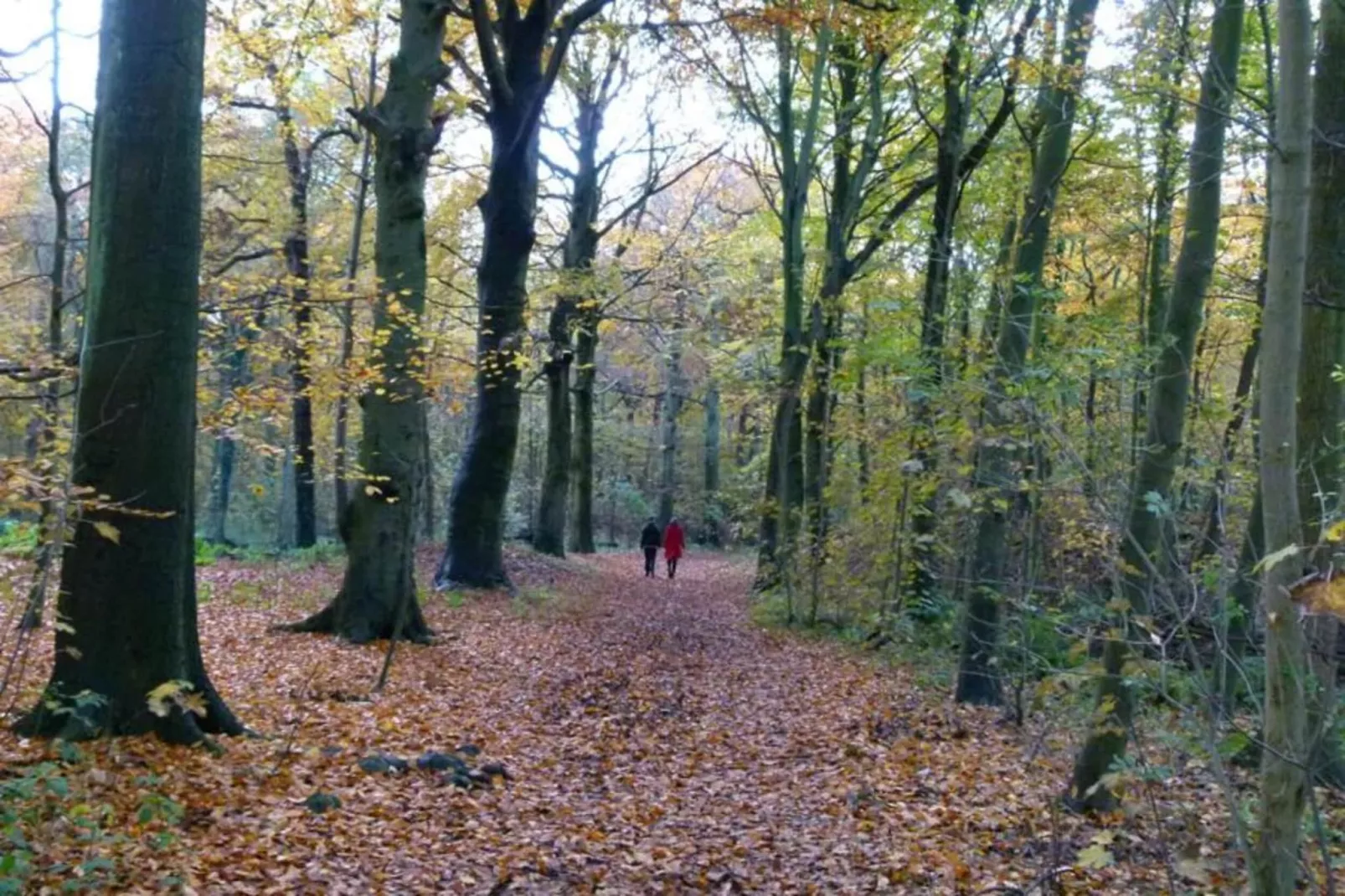 Strandpark Vlugtenburg 8-Gebieden zomer 20km