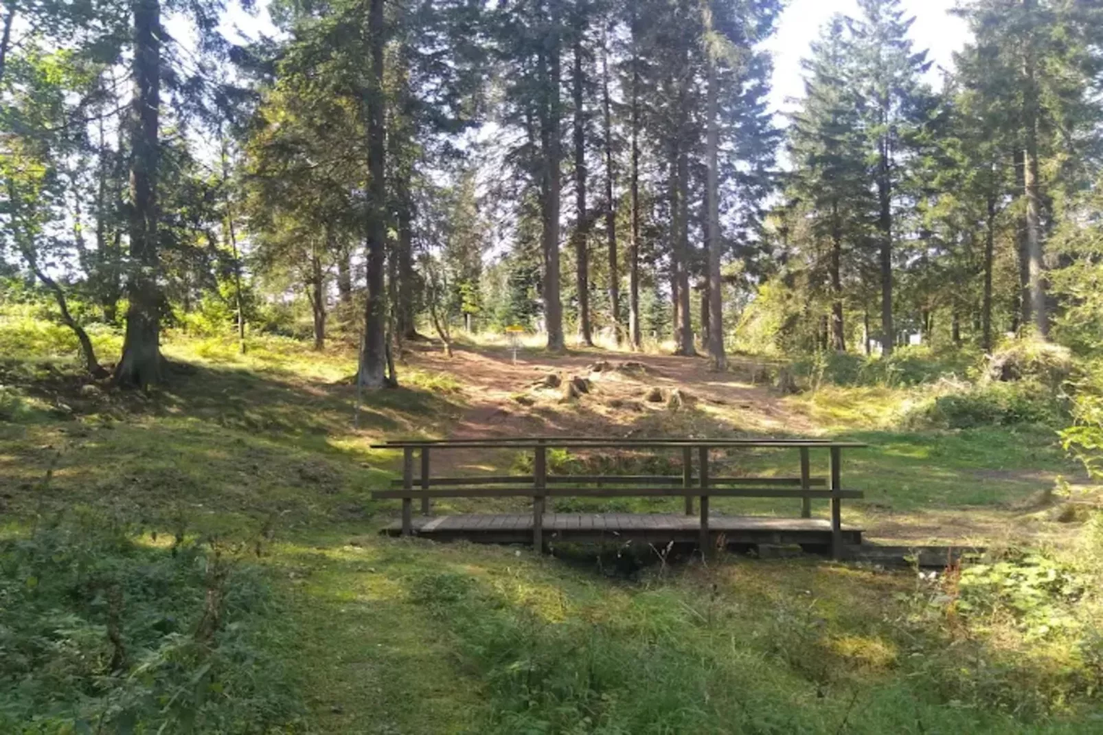 Appartement Lenneblick 2 - Altastenberg-Gebieden zomer 1km