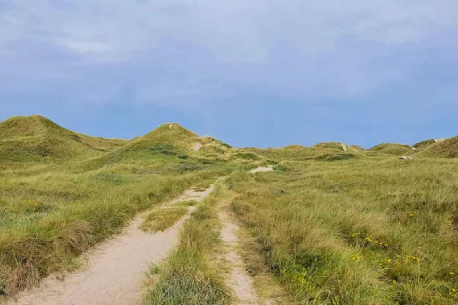 4 sterren vakantie huis in Ulfborg